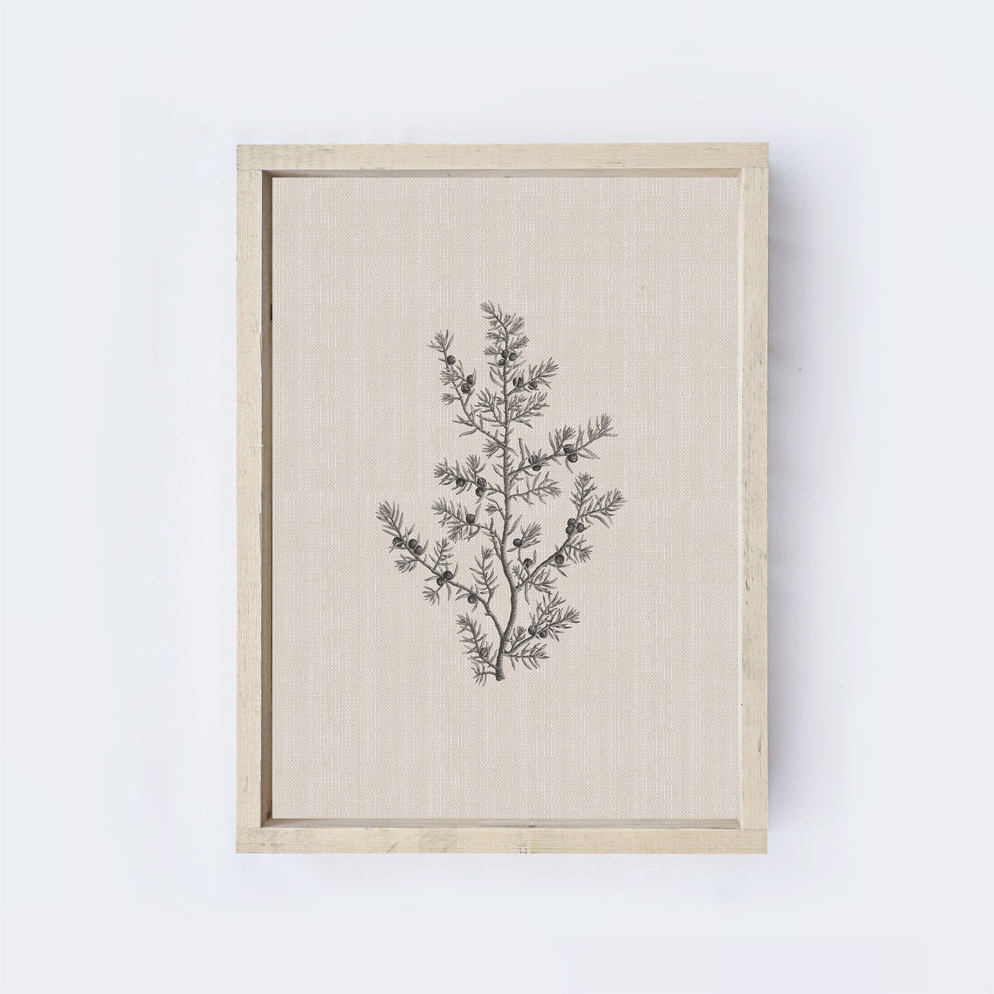 Vintage Print Framed | Floral Branch Print A107-3