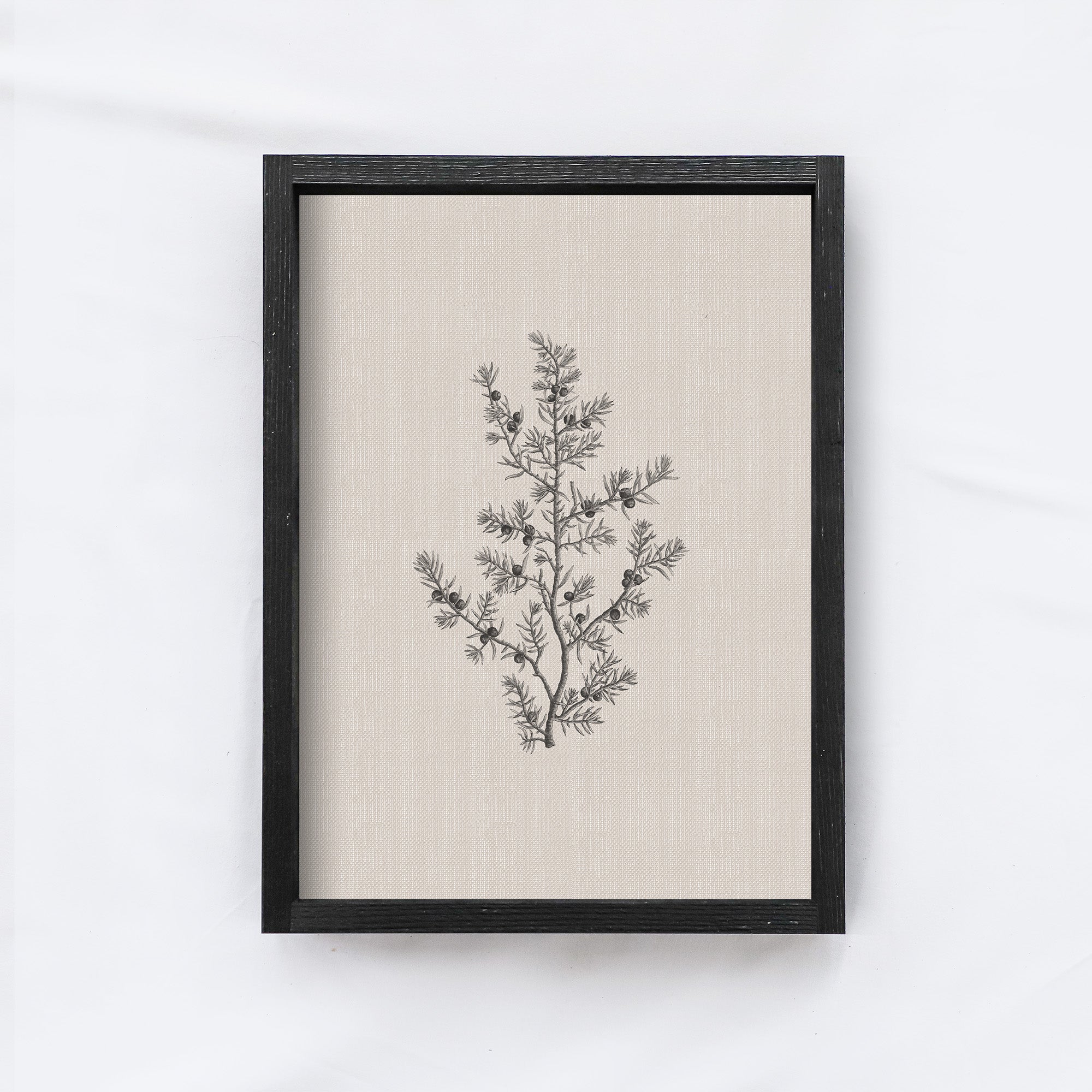 Vintage Print Framed | Floral Branch Print A107-1