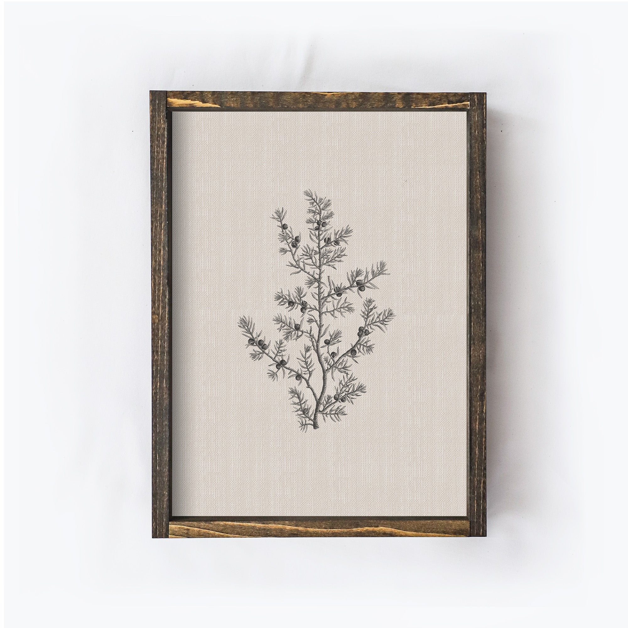 Vintage Print Framed | Floral Branch Print A107-2