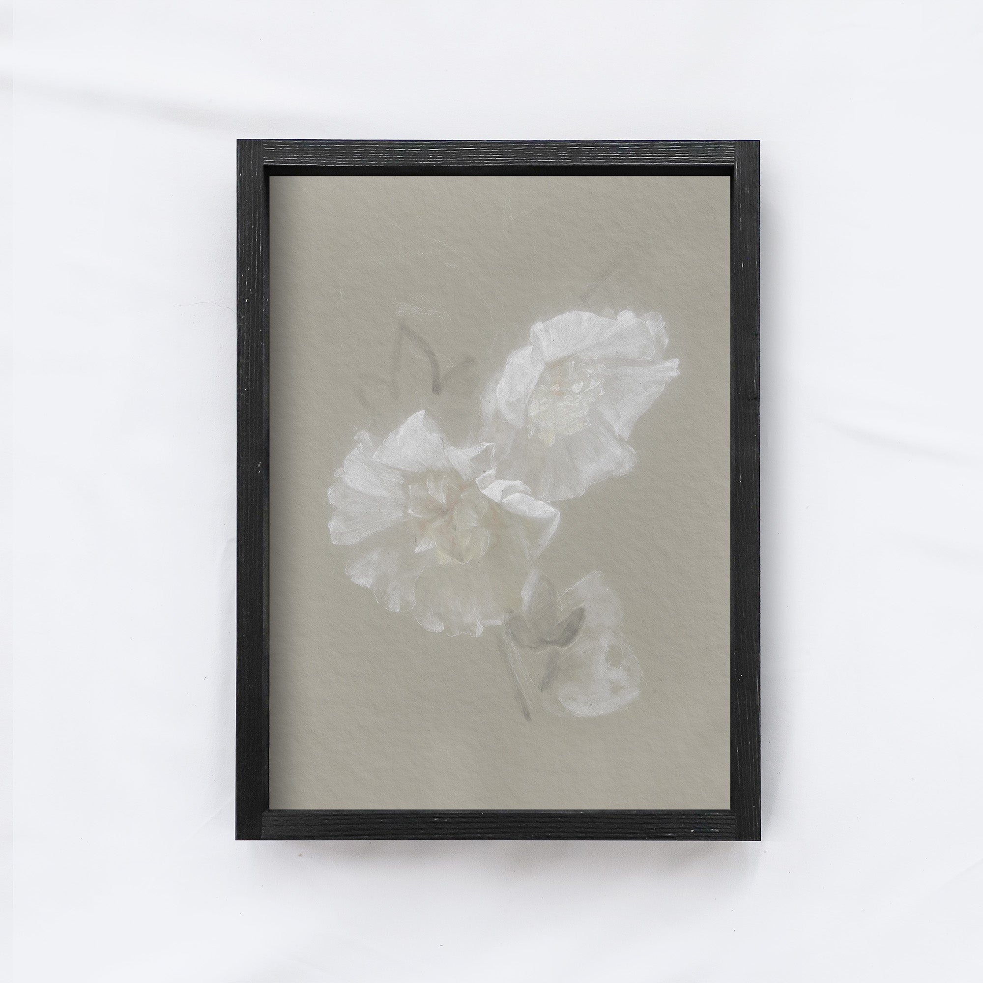 Vintage Print Framed | Flower Sketch A130-1