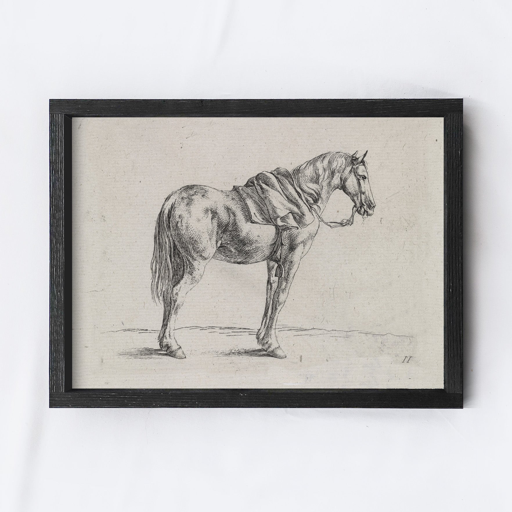 Vintage Print Framed | Horse Sktch A136-1