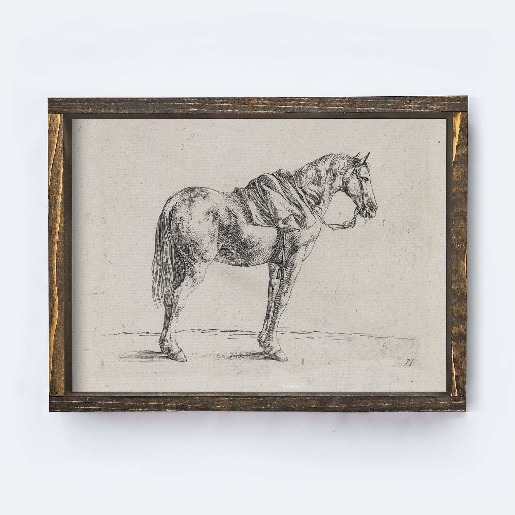 Vintage Print Framed | Horse Sktch A136-2