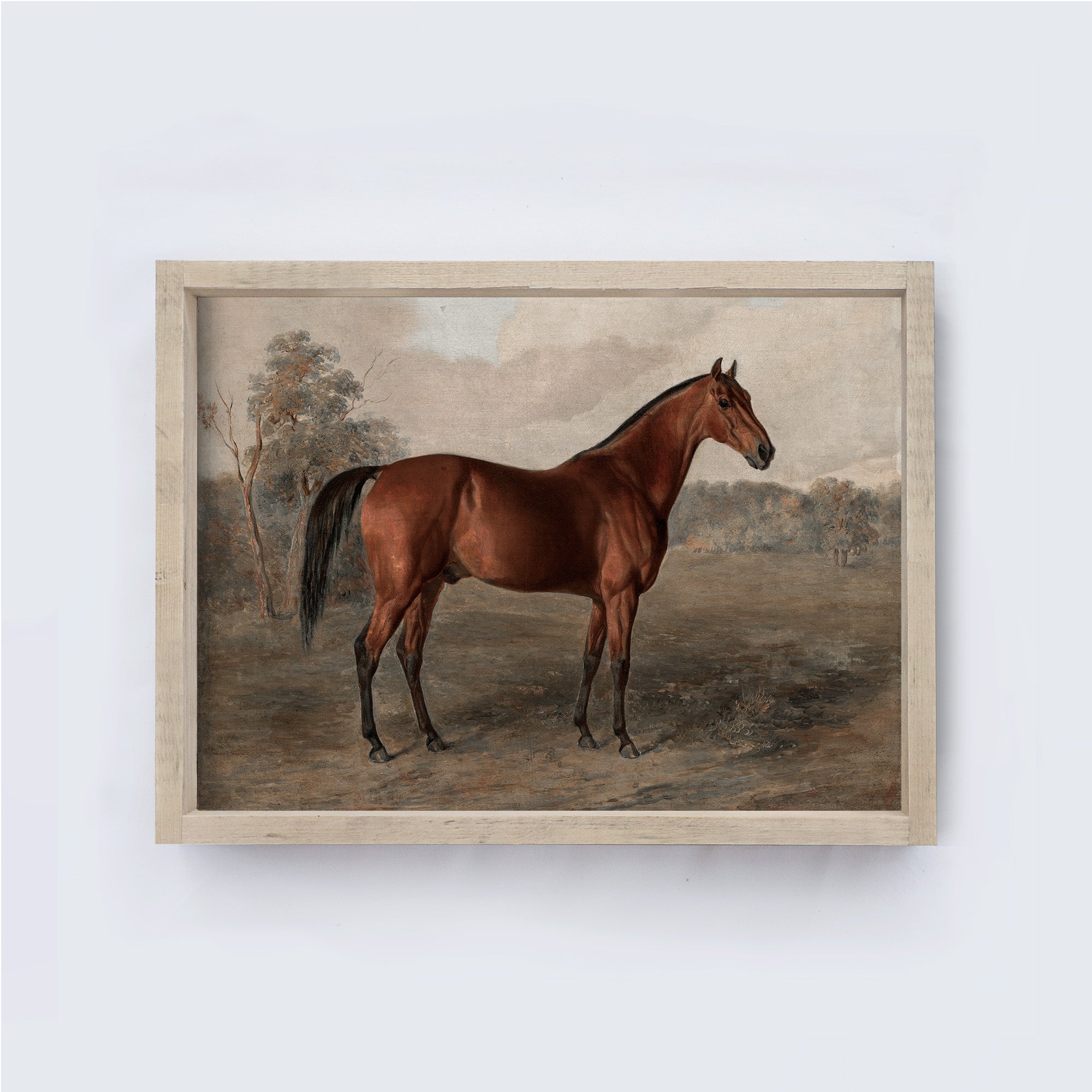 Vintage Horse Print Framed | Equestrian Art A195-0