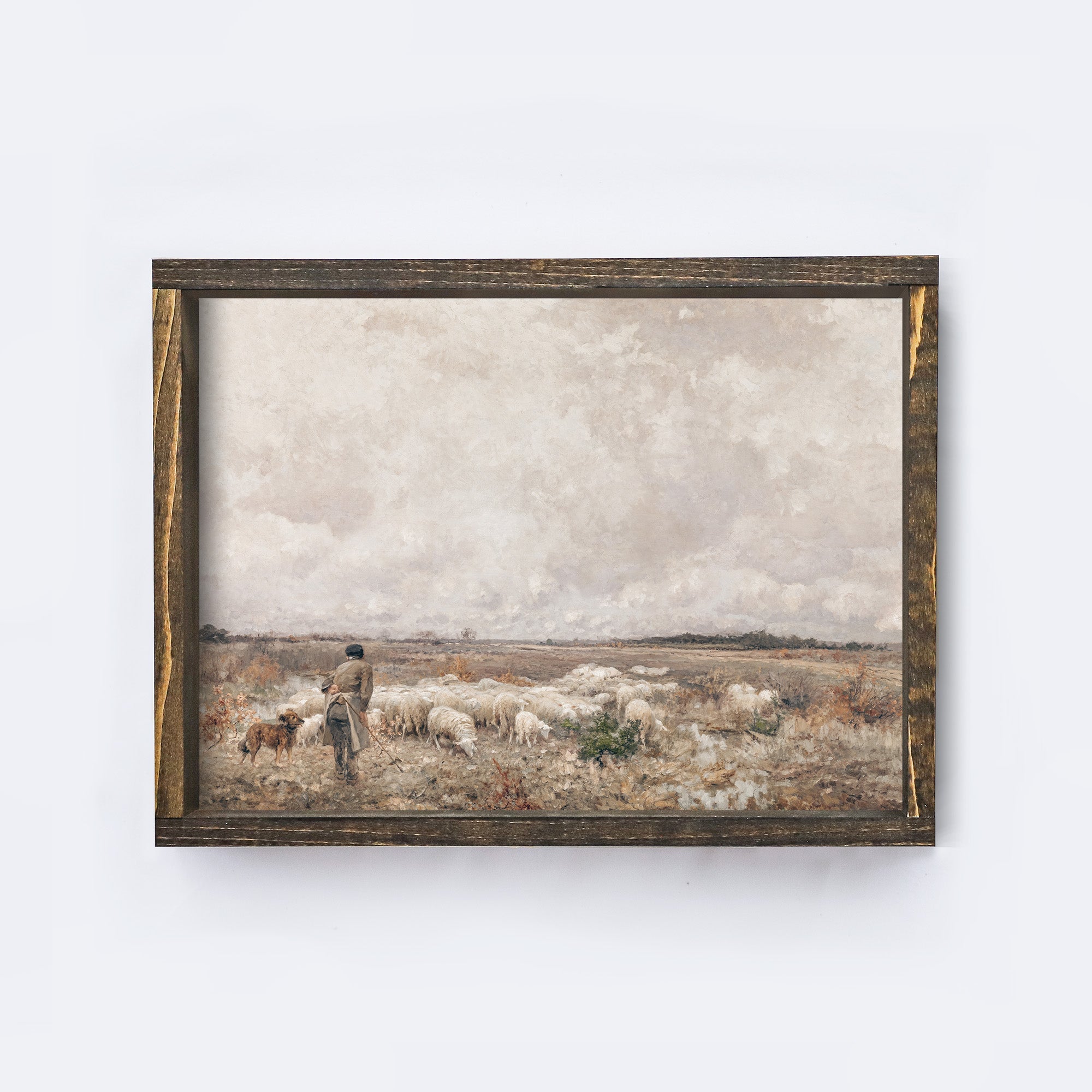 Vintage Print Framed | Landscape Sheep A83-1