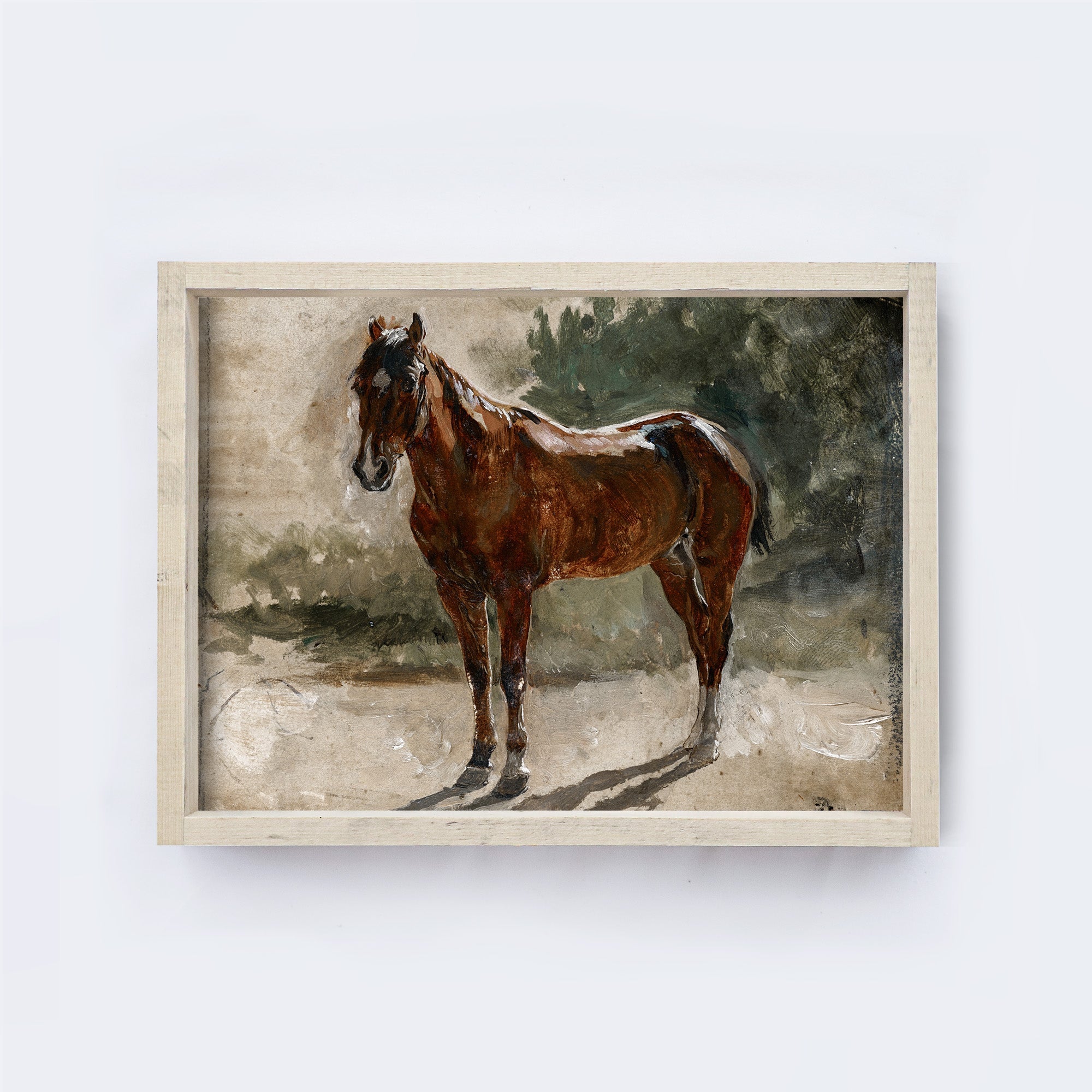 Vintage Print Framed | Horse Painting A96-3