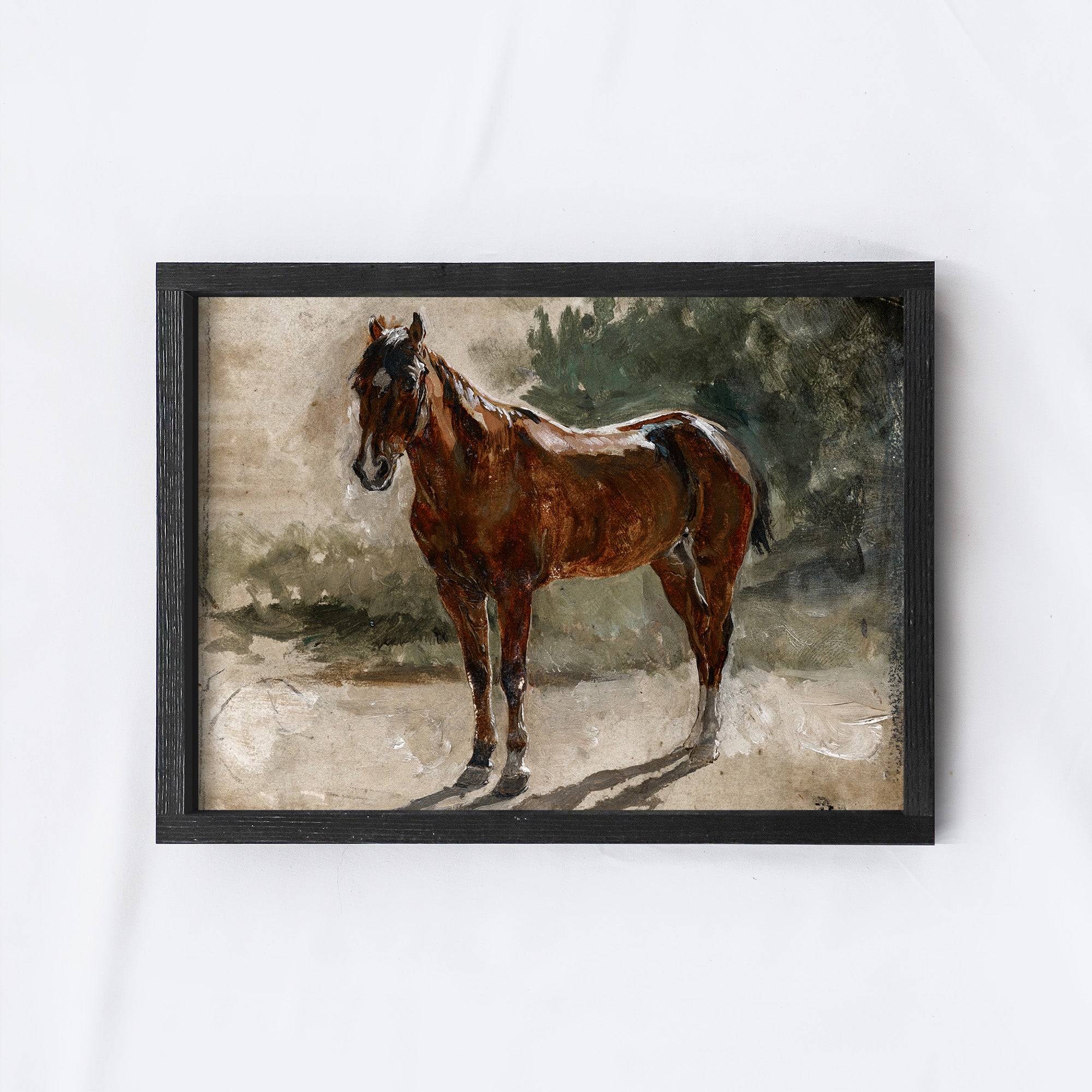 Vintage Print Framed | Horse Painting A96-2