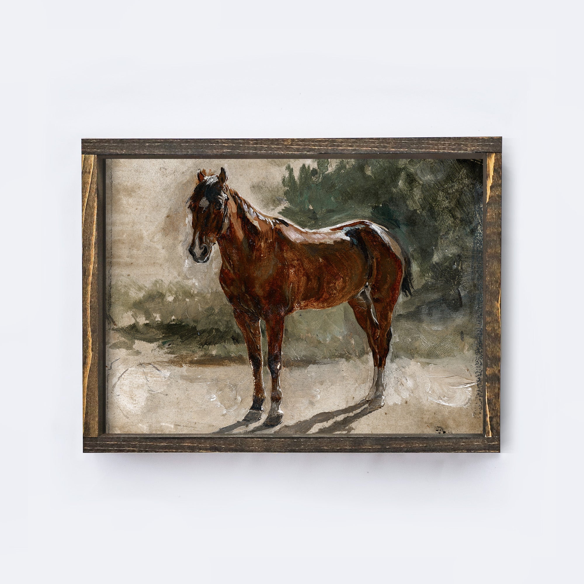 Vintage Print Framed | Horse Painting A96-1