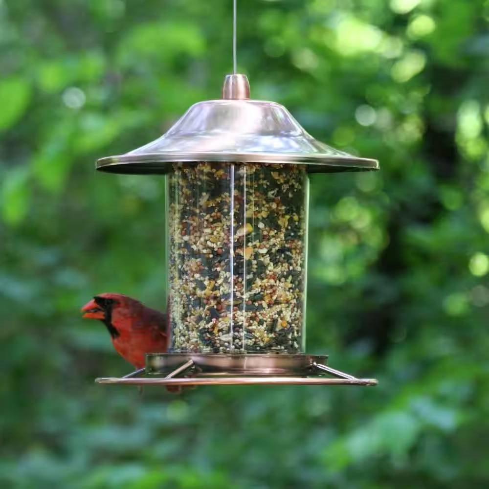 Copper Bird Feeder with Plastic Seed Reservoir Tube and Circular Perch-0