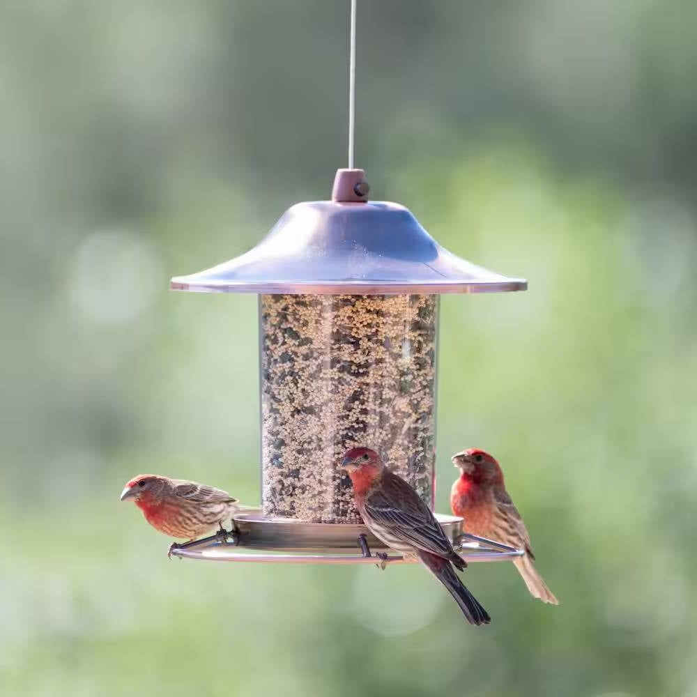 Copper Bird Feeder with Plastic Seed Reservoir Tube and Circular Perch-2