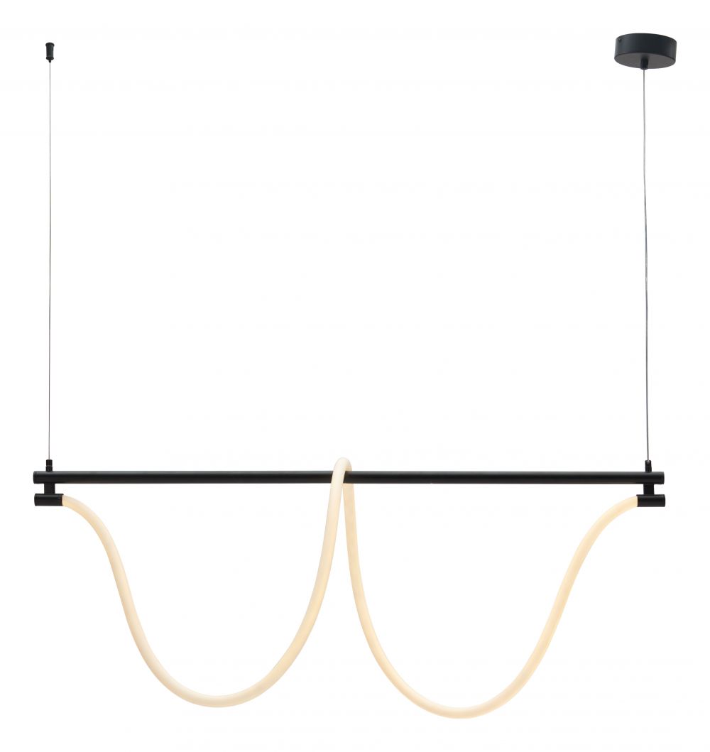 Adder Steel Black Ceiling Lamp