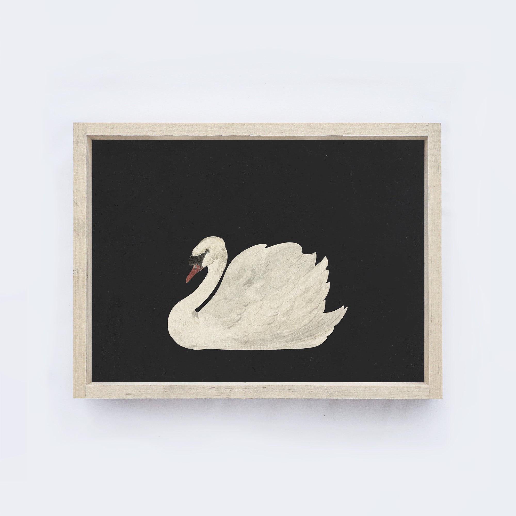 Antique Swan Painting A36-0