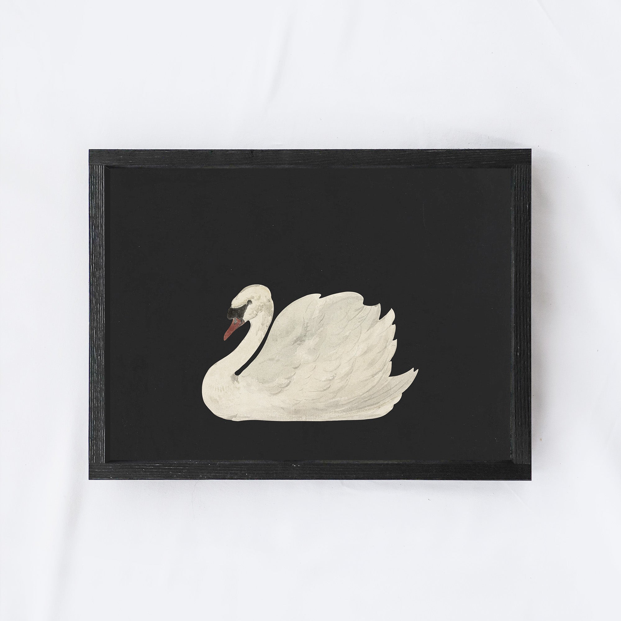 Antique Swan Painting A36-2