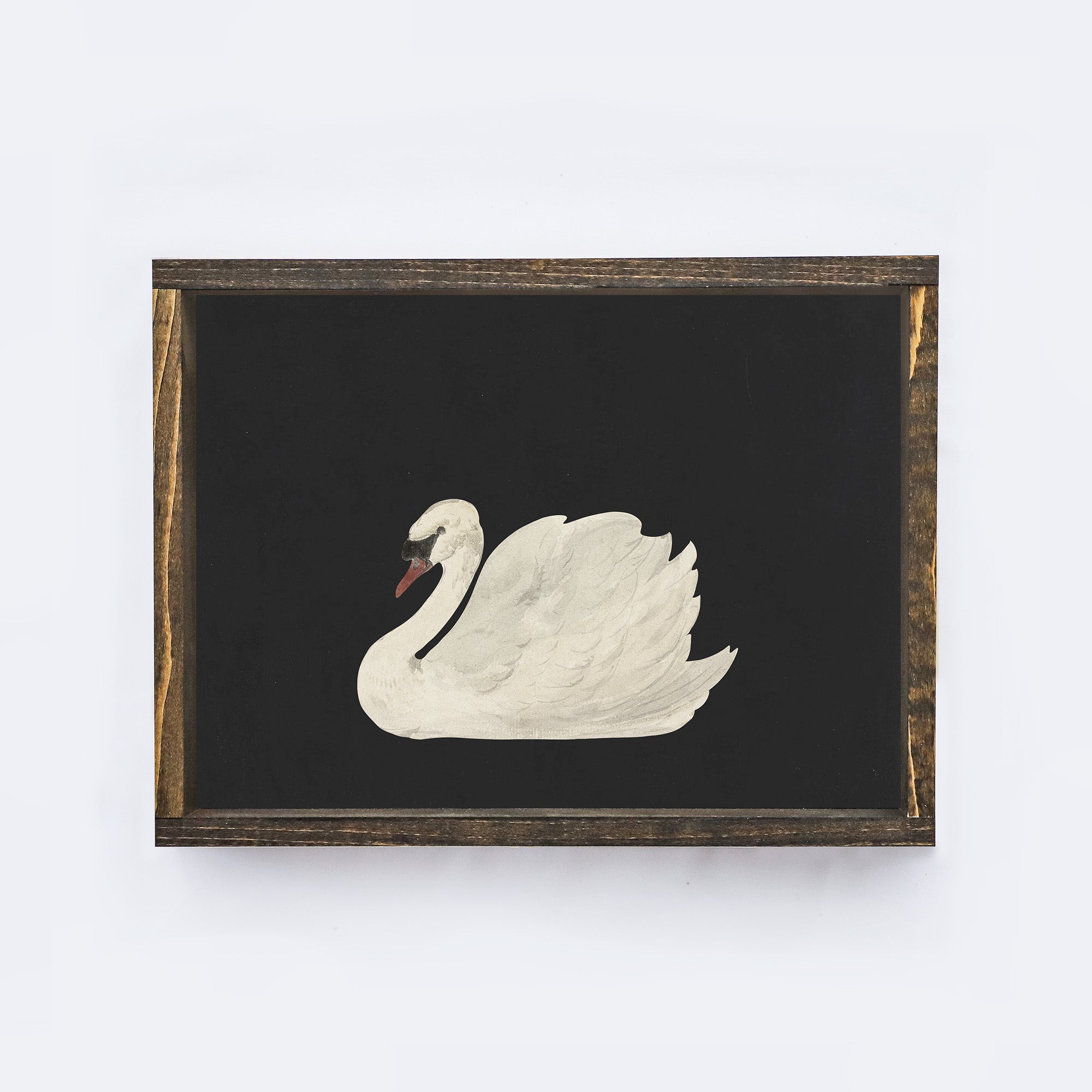 Antique Swan Painting A36-1