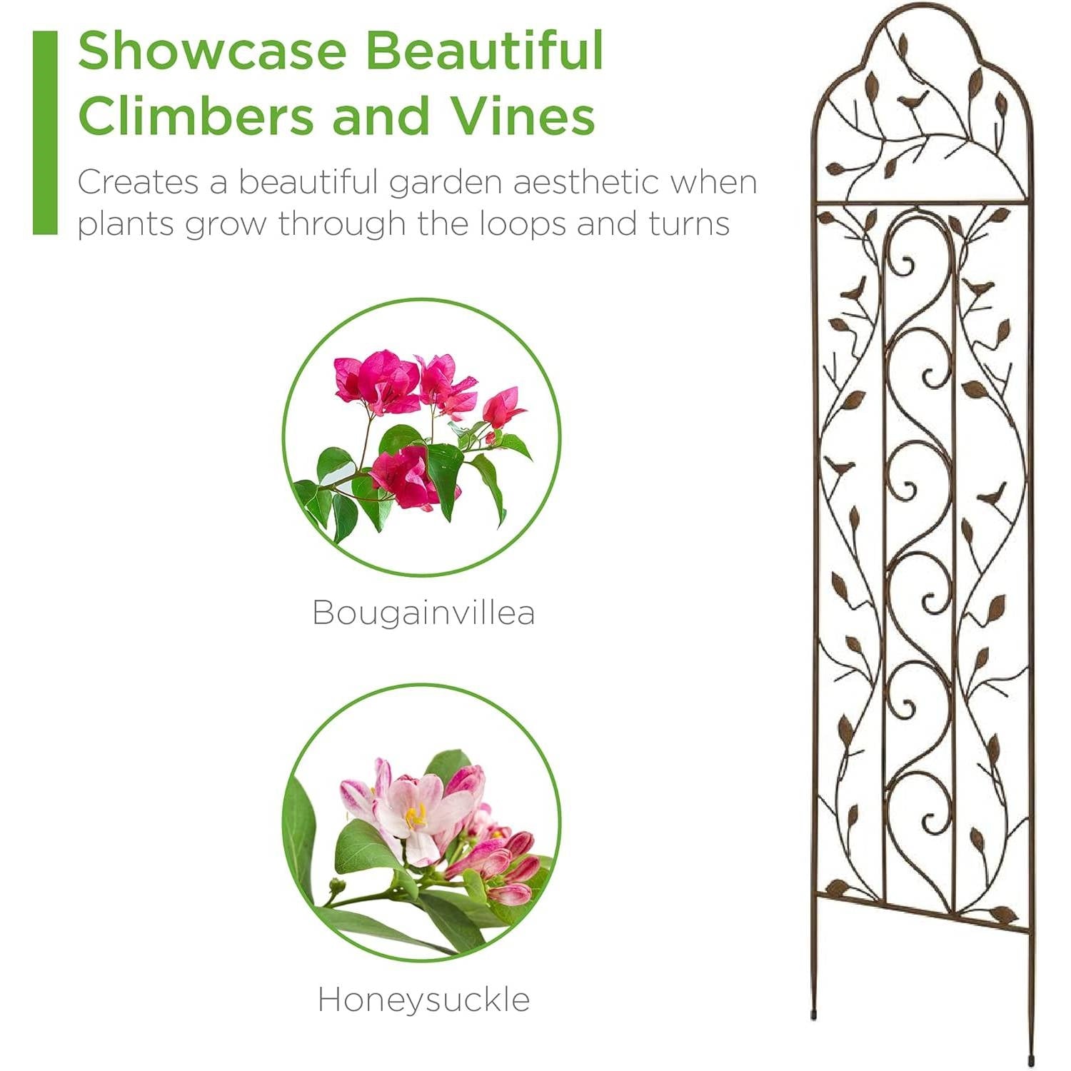 60-inch Tall Outdoor Iron Garden Trellis in Bronze Metal Finish-1