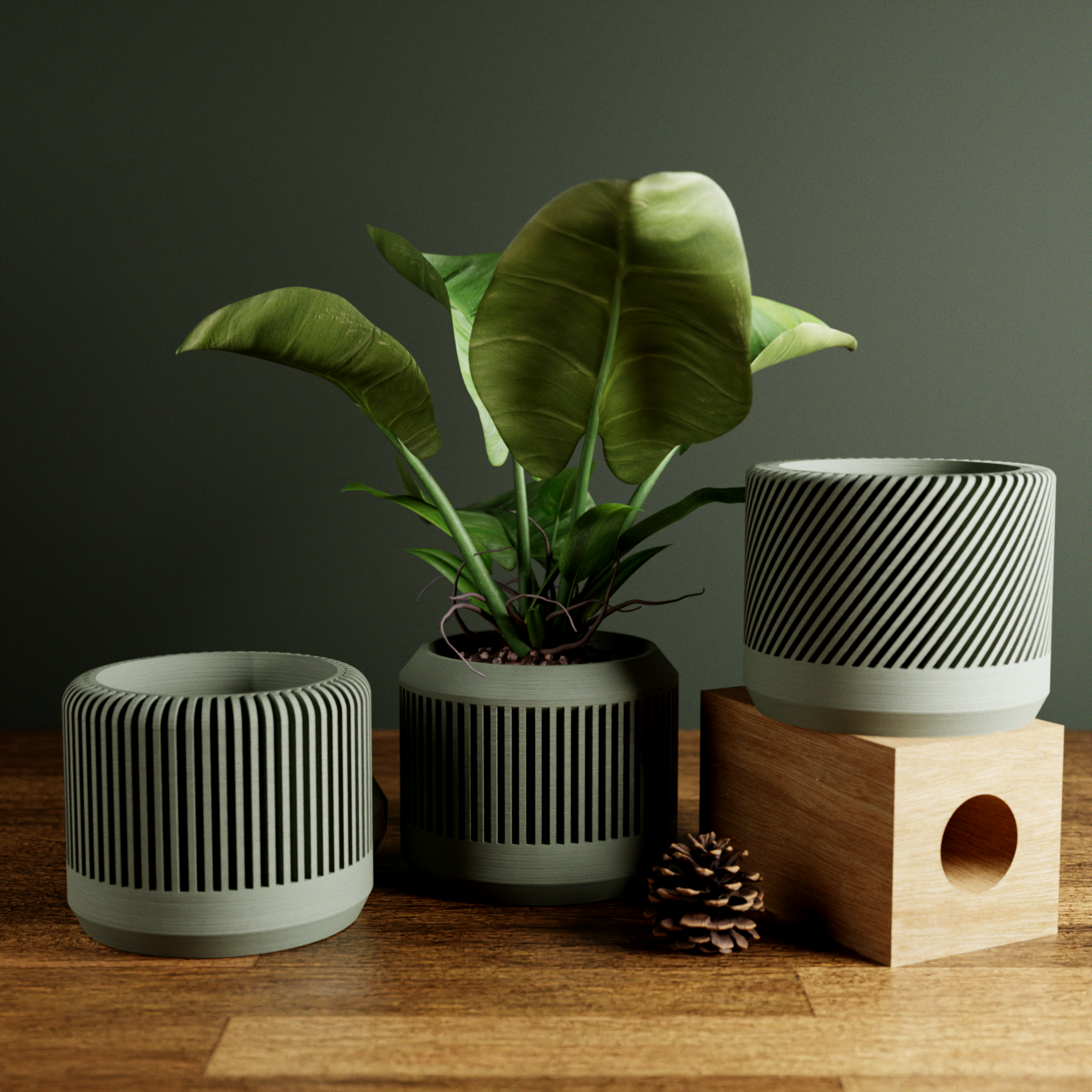 BAMBOO Planter Set-2