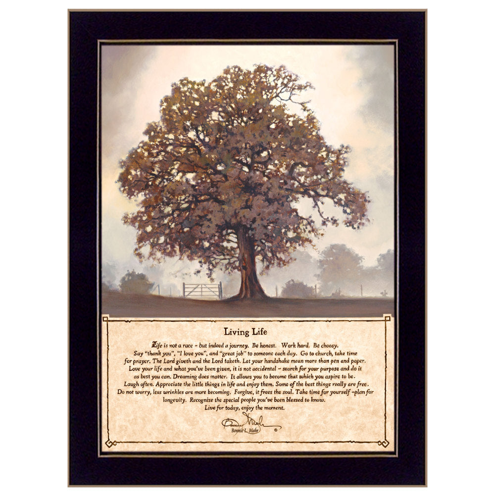 "Living Life" Framed Wall Art by Bonnie Mohr | Inspirational Farmhouse Print — Ready to Hang, Living Room & Bedroom Decor