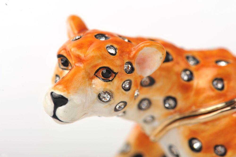 Cheetah on the Hunt-3