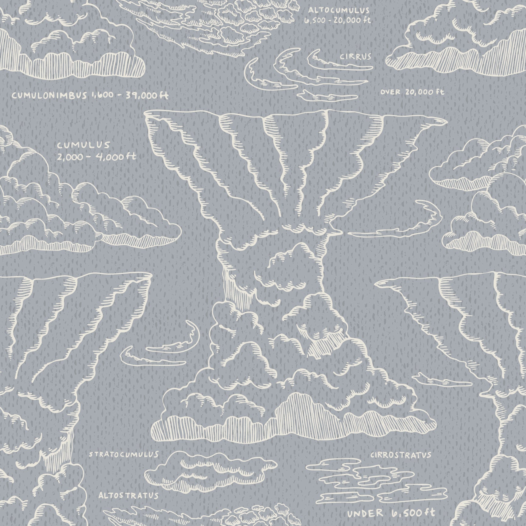 Cirrus Wallpaper by Seedpod Design