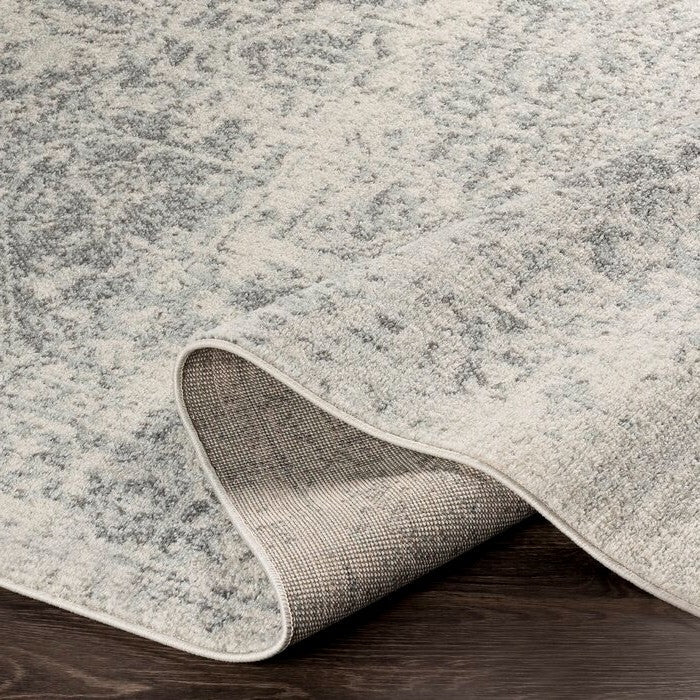 5' x 7' Distressed Oriental Area Rug in Light Grey / Beige-2