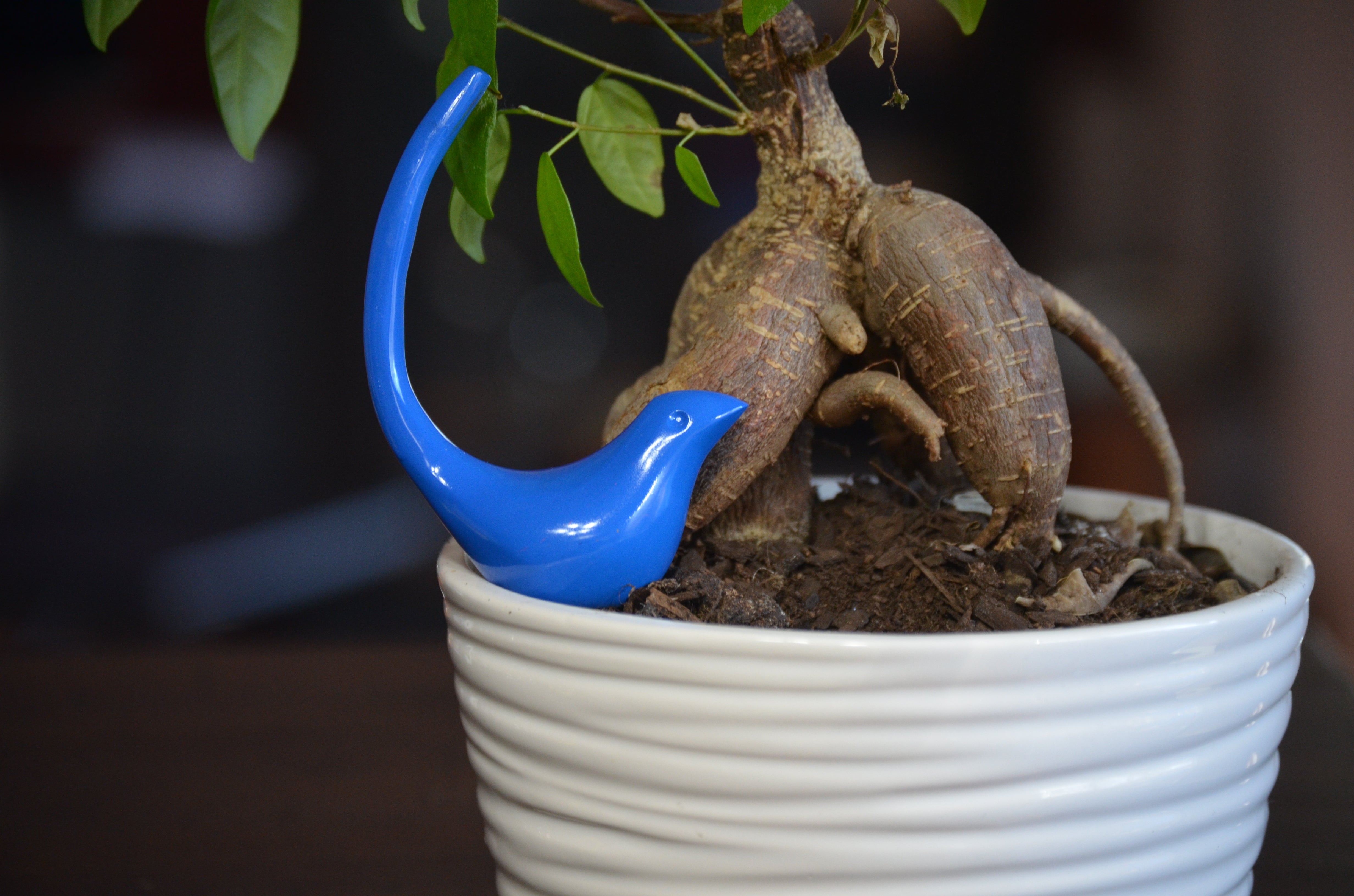 Vibhsa Gifts Bird Ring Holder Jewelry (Blue)