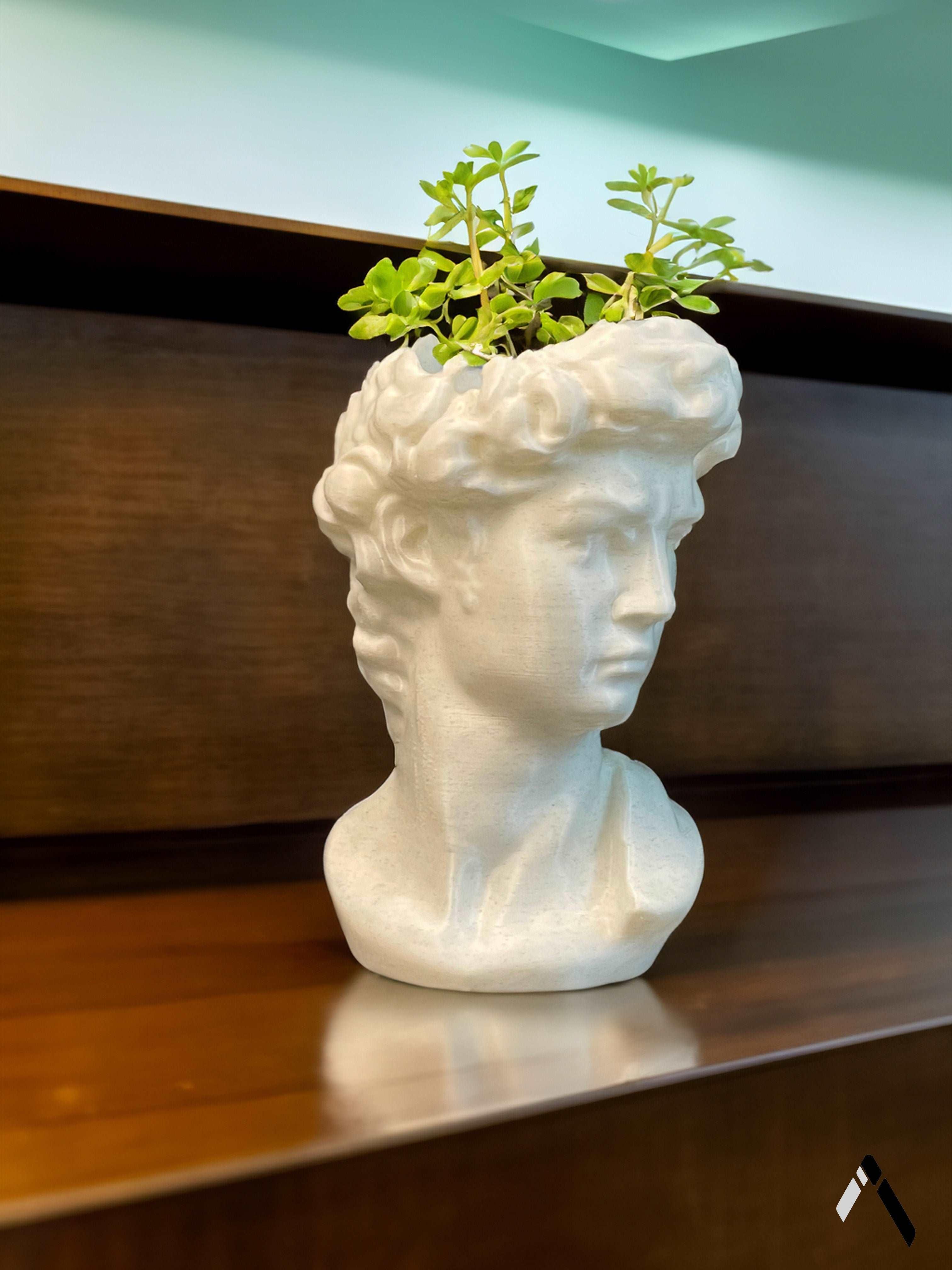 David head planter-2