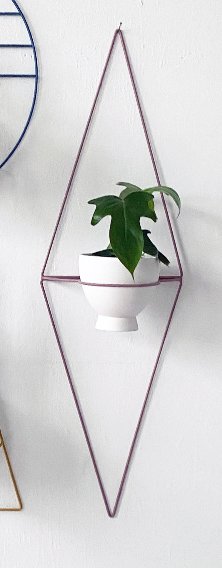 Diamond Eye Wall Planter
