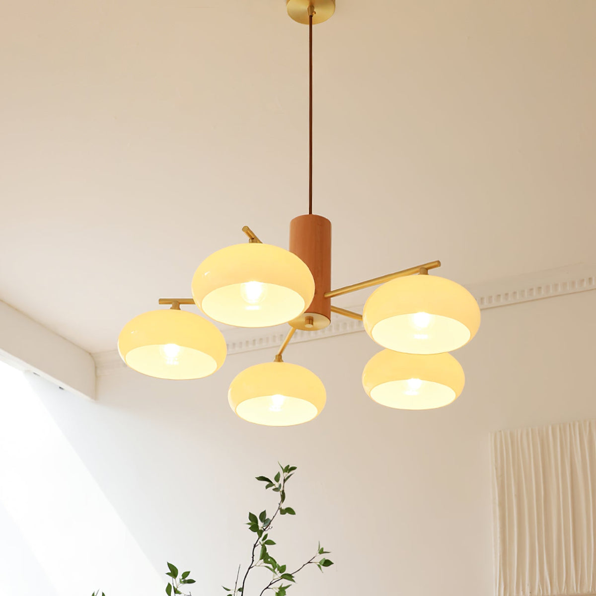 Elliptical Glass Globe Chandelier with Brass Arms | Dining Table Light Fixture