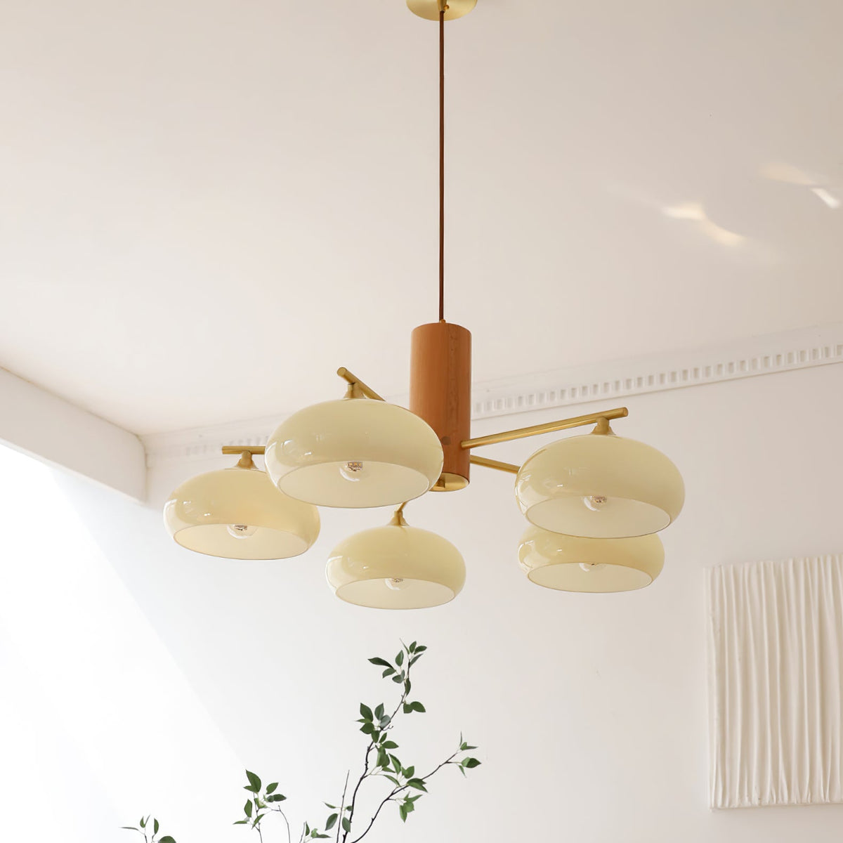 Elliptical Glass Globe Chandelier with Brass Arms | Dining Table Light Fixture