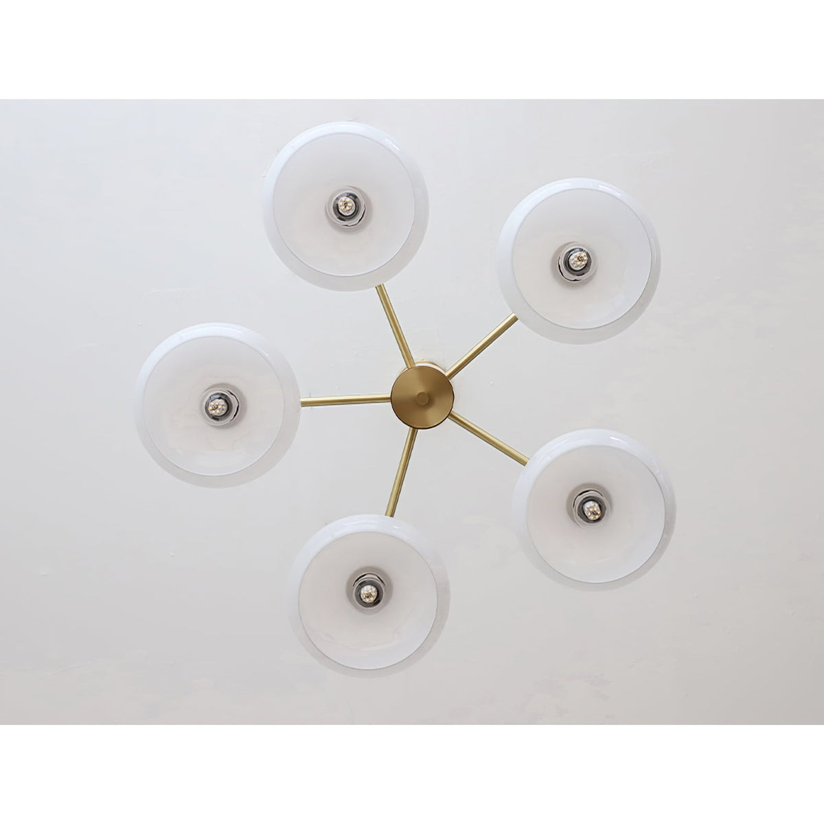Elliptical Glass Globe Chandelier with Brass Arms | Dining Table Light Fixture