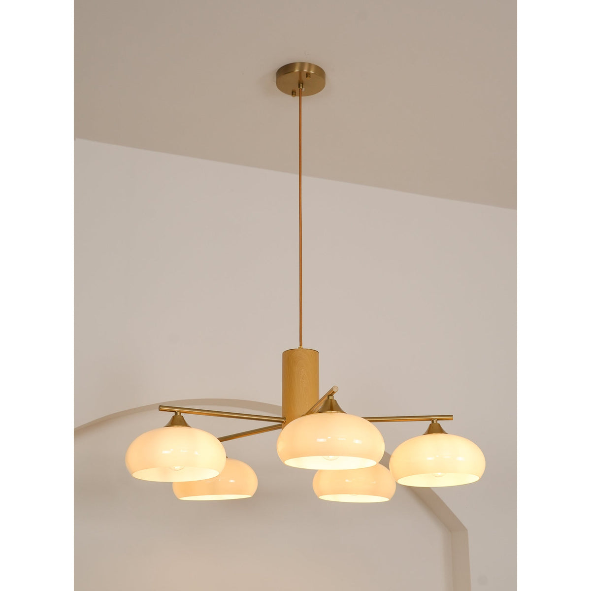 Elliptical Glass Globe Chandelier with Brass Arms | Dining Table Light Fixture