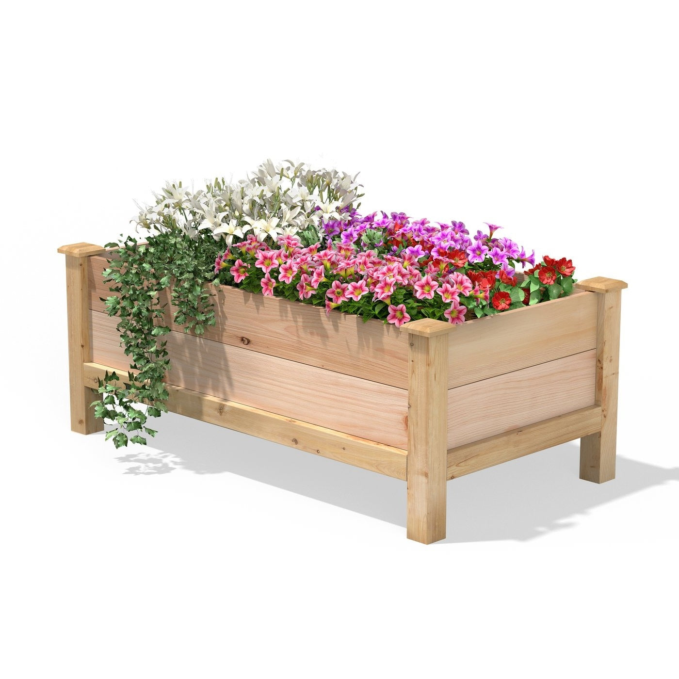 Farmhouse 24-in x 48-in x 19-in Cedar Elevated Victory Garden Bed - Made in USA-0