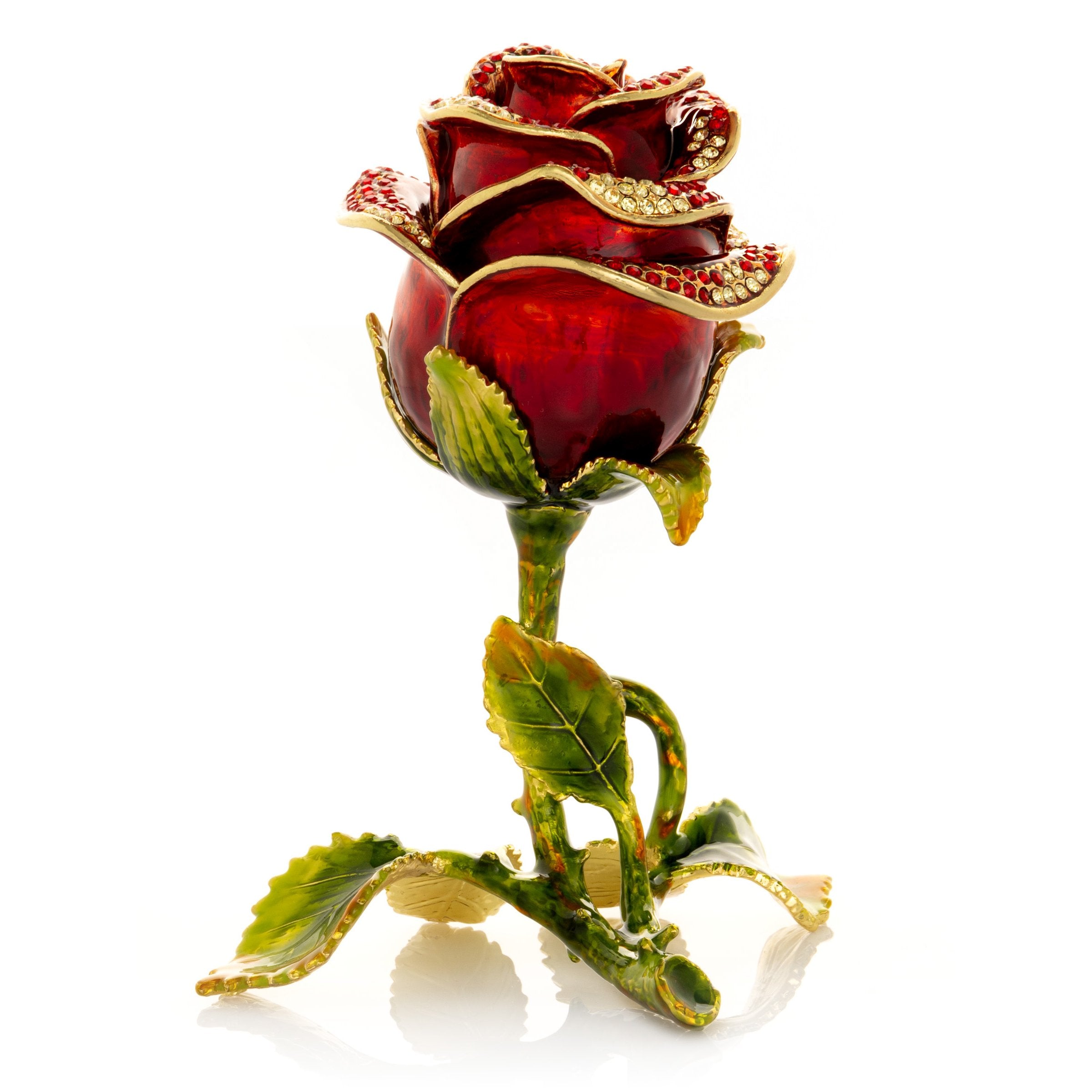 Valentine Red Rose-0