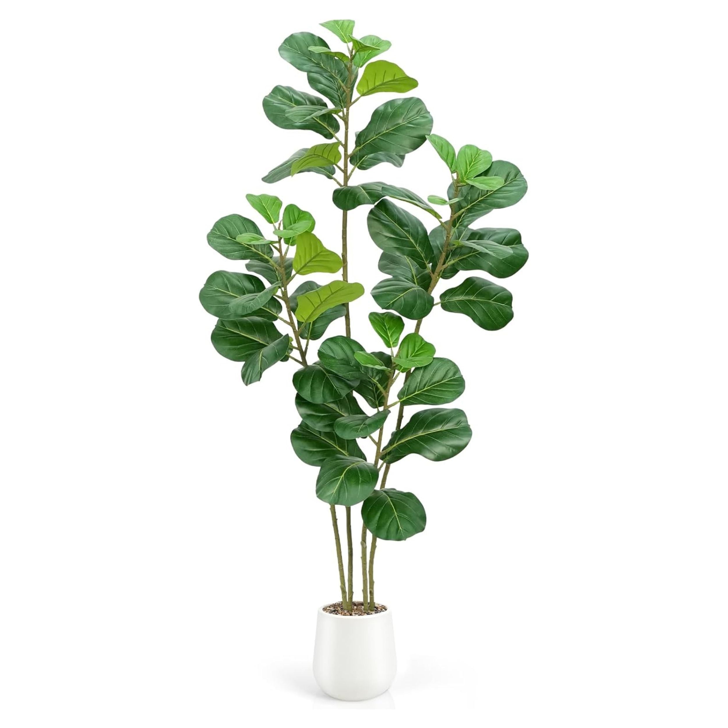 Faux Fiddle Leaf Fig Tree In White Planter 6'-0