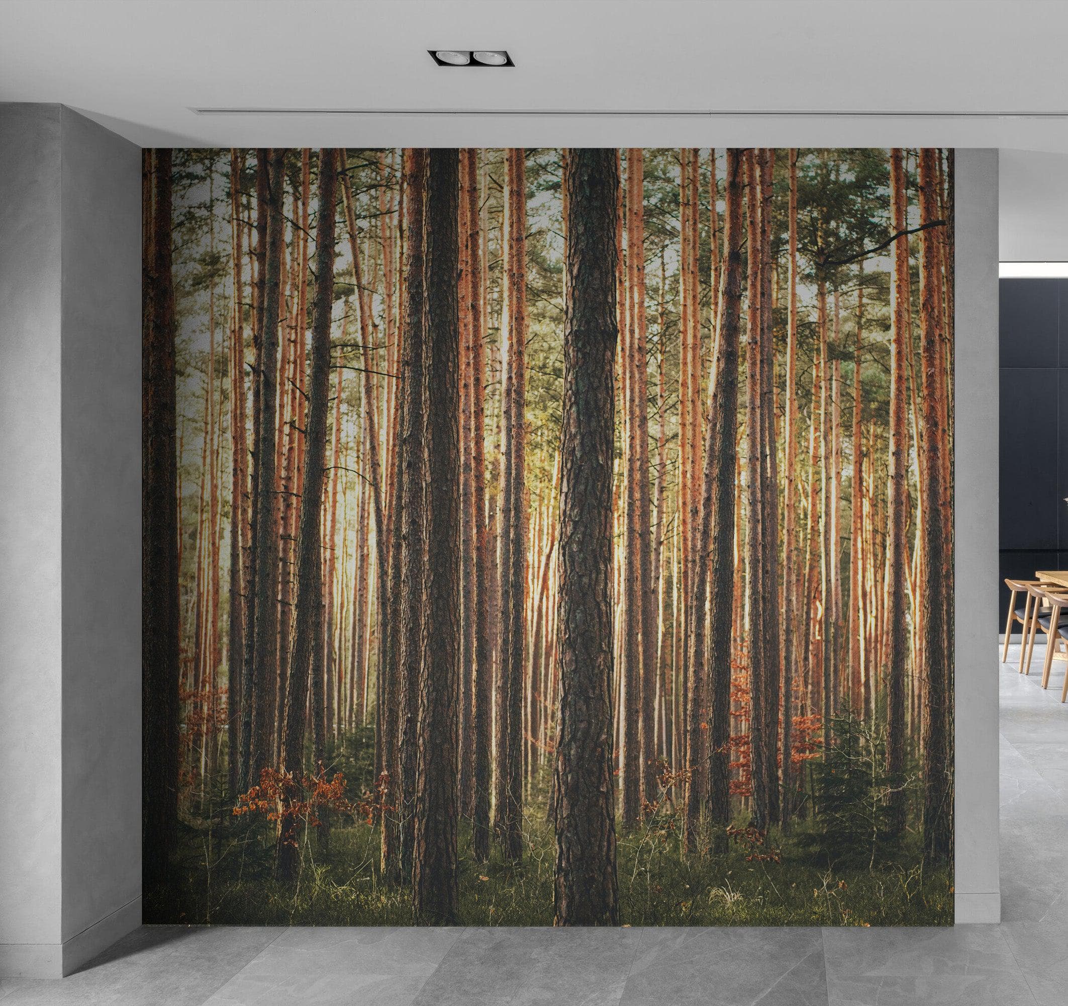 Forest Wallpaper Mural. Woodland Country Theme / Farmhouse Wall Decor. #6777
