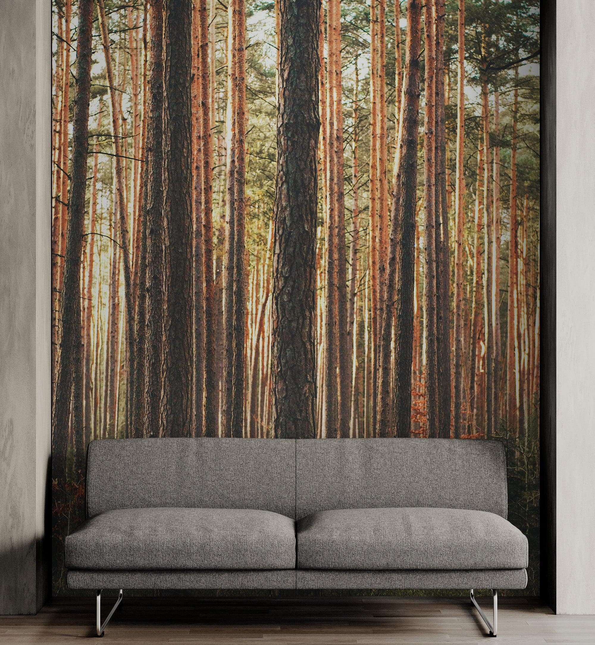 Forest Wallpaper Mural. Woodland Country Theme / Farmhouse Wall Decor. #6777