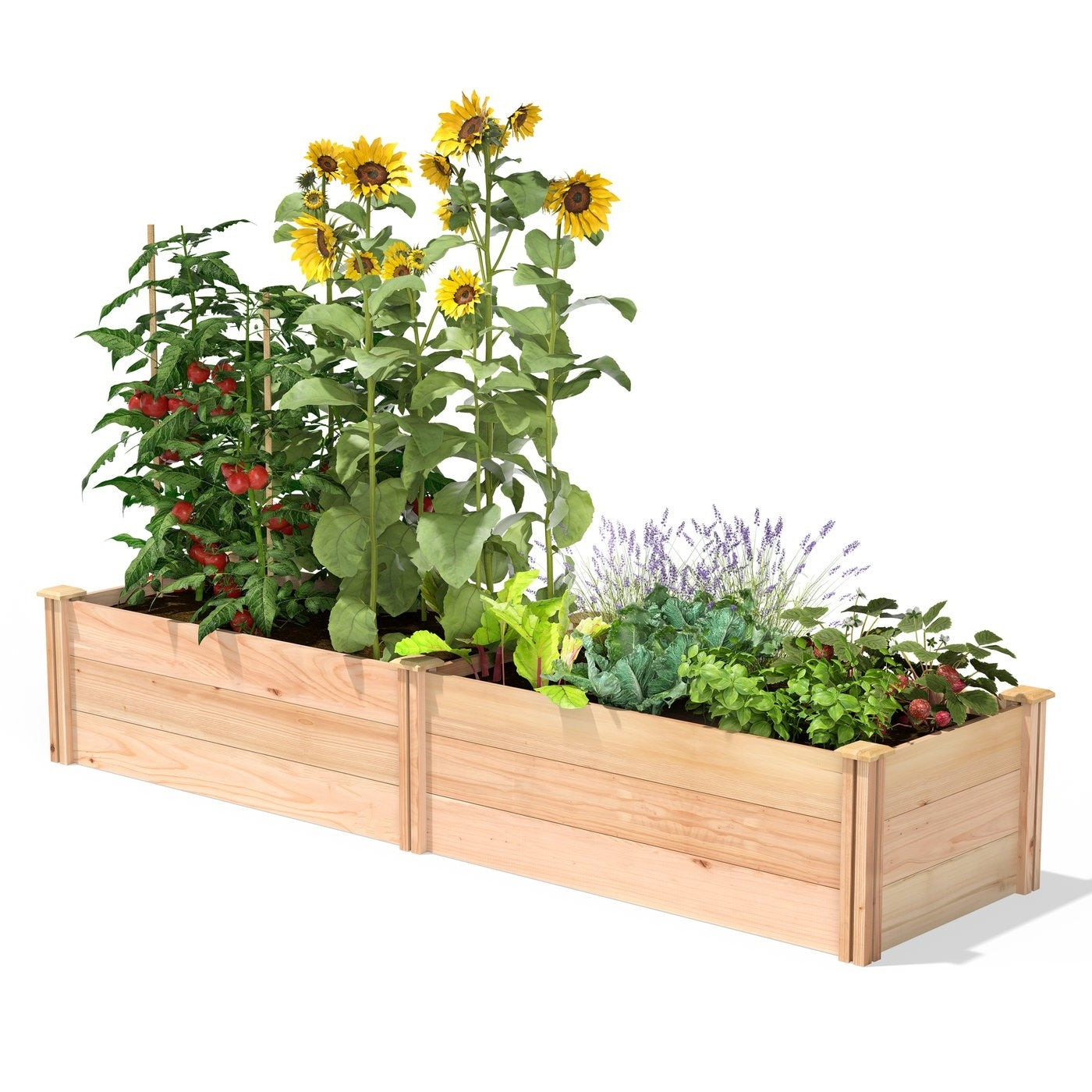 2 ft x 8 ft Tall Cedar Wood Raised Garden Bed - Made in USA-0