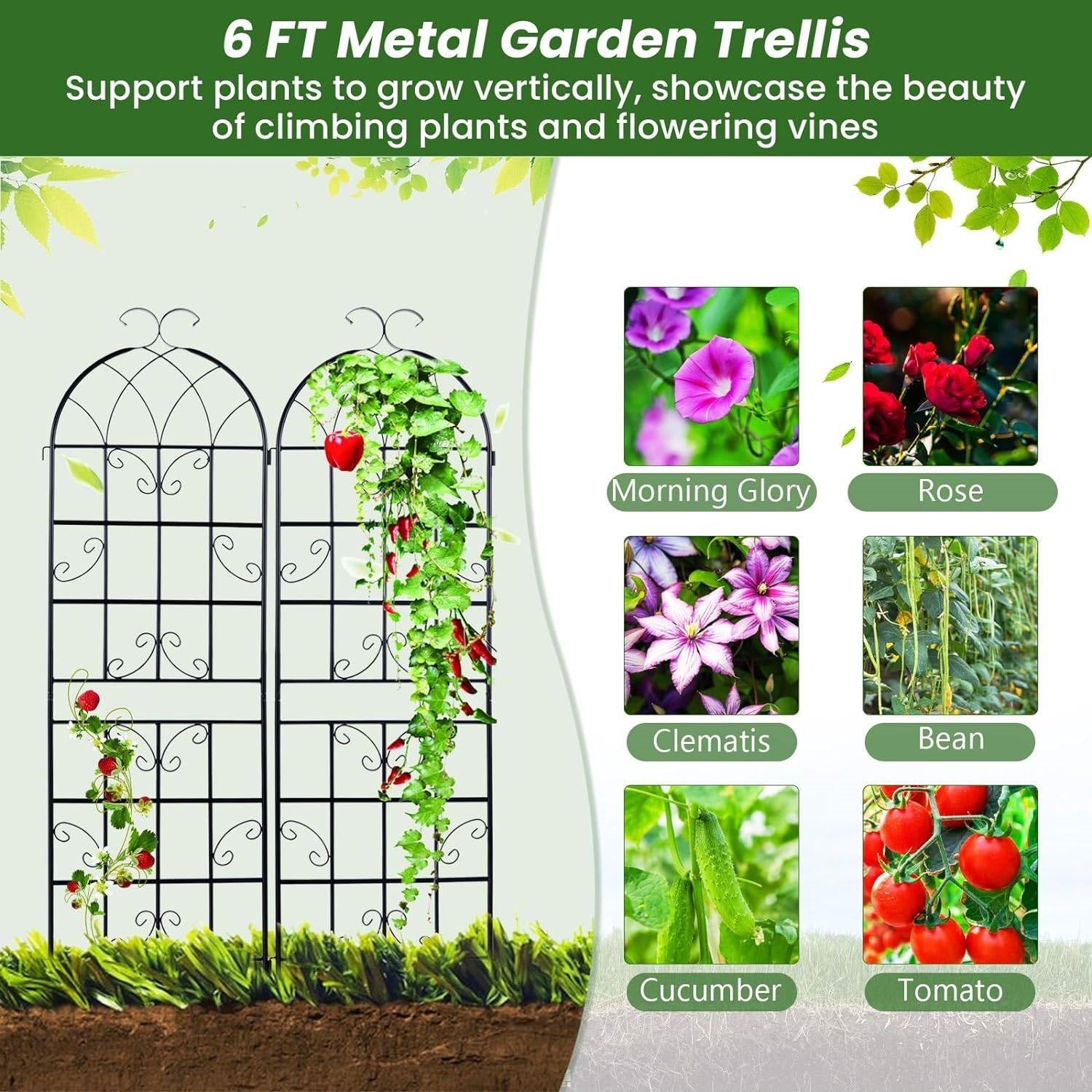 Set of 2 - 6-Ft Heavy Duty Outdoor Galvanized Metal Garden Trellis-2