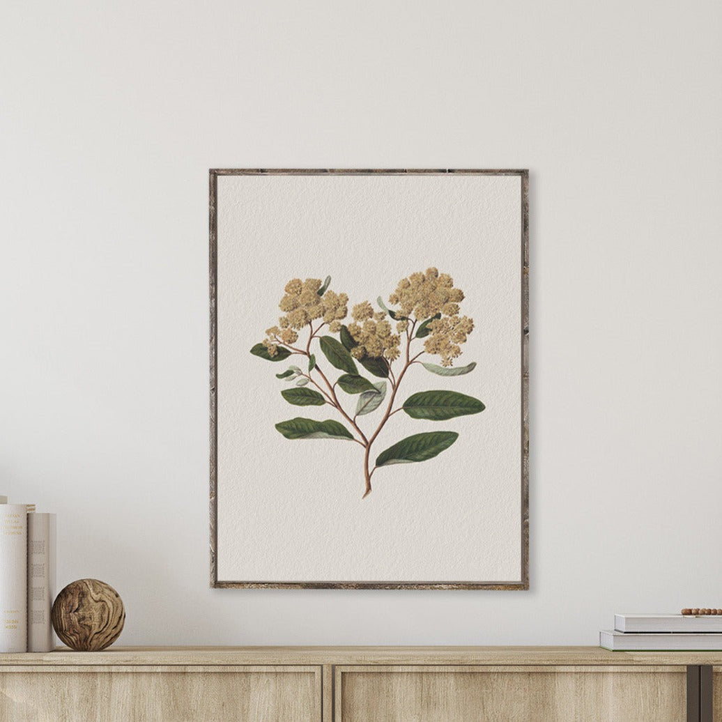 Vintage Flower Art Print | Botanical Floral Drawing A105-0