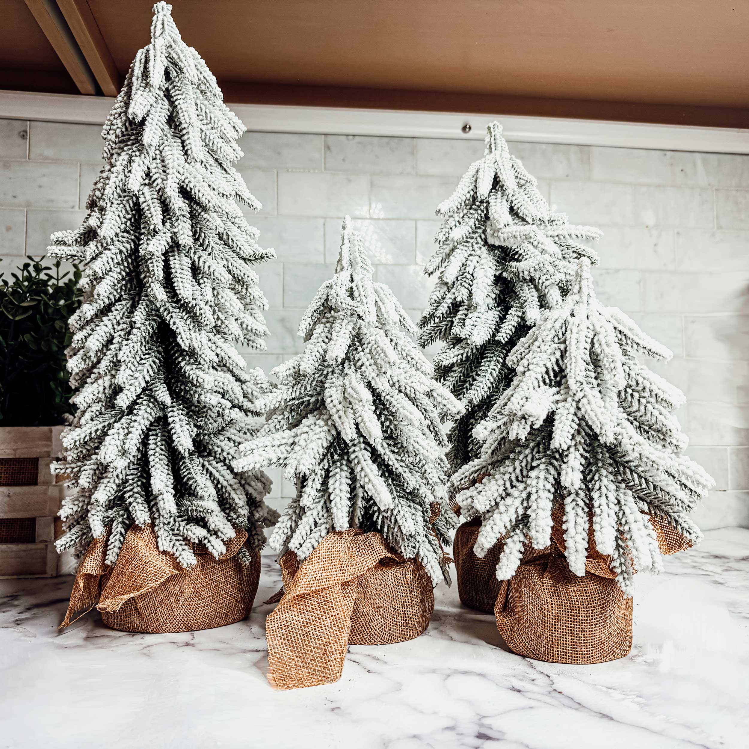 Snow Christmas Trees NEW-3