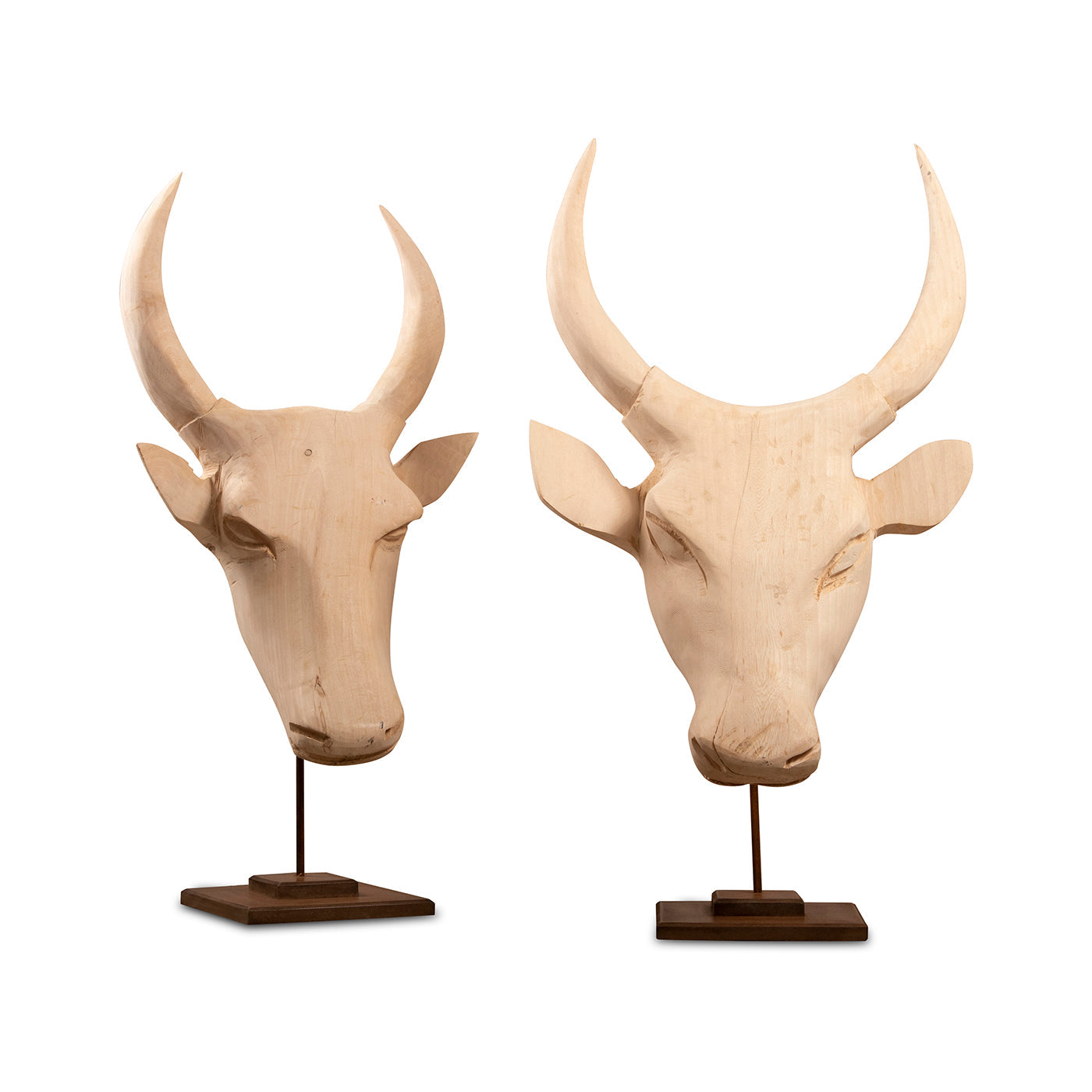 Nguni Head on stand | Natural-1