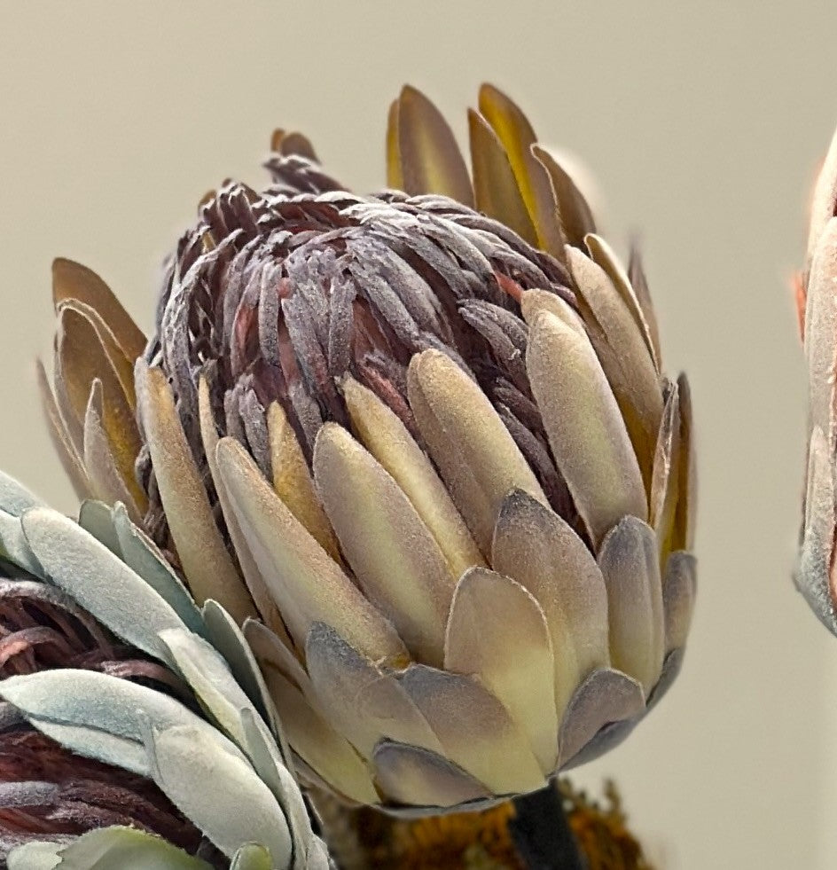 Artifical King Protea Bouquet(Sold Individually)