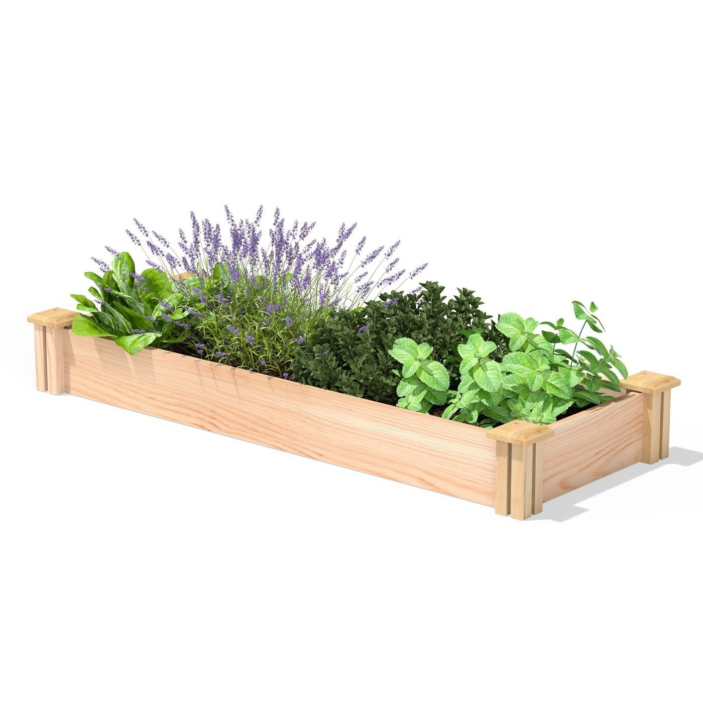 16 in x 48 in Low Profile Cedar Raised Garden Bed - Made In USA-0