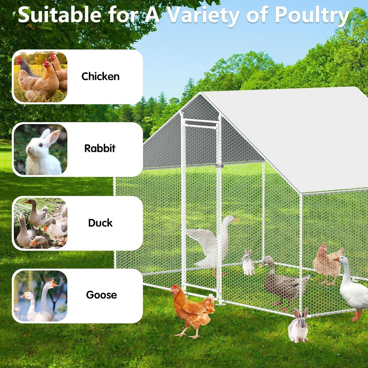 9.8 Ft x 6.5 Ft Outdoor Metal Walk-in Chicken Coop Cage with Waterproof Cover-2