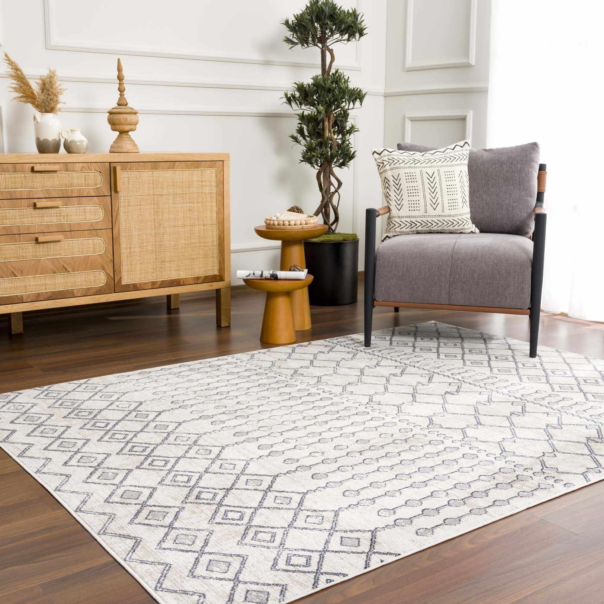Midstream Washable Area Rug - Clearance - PRHOMZ