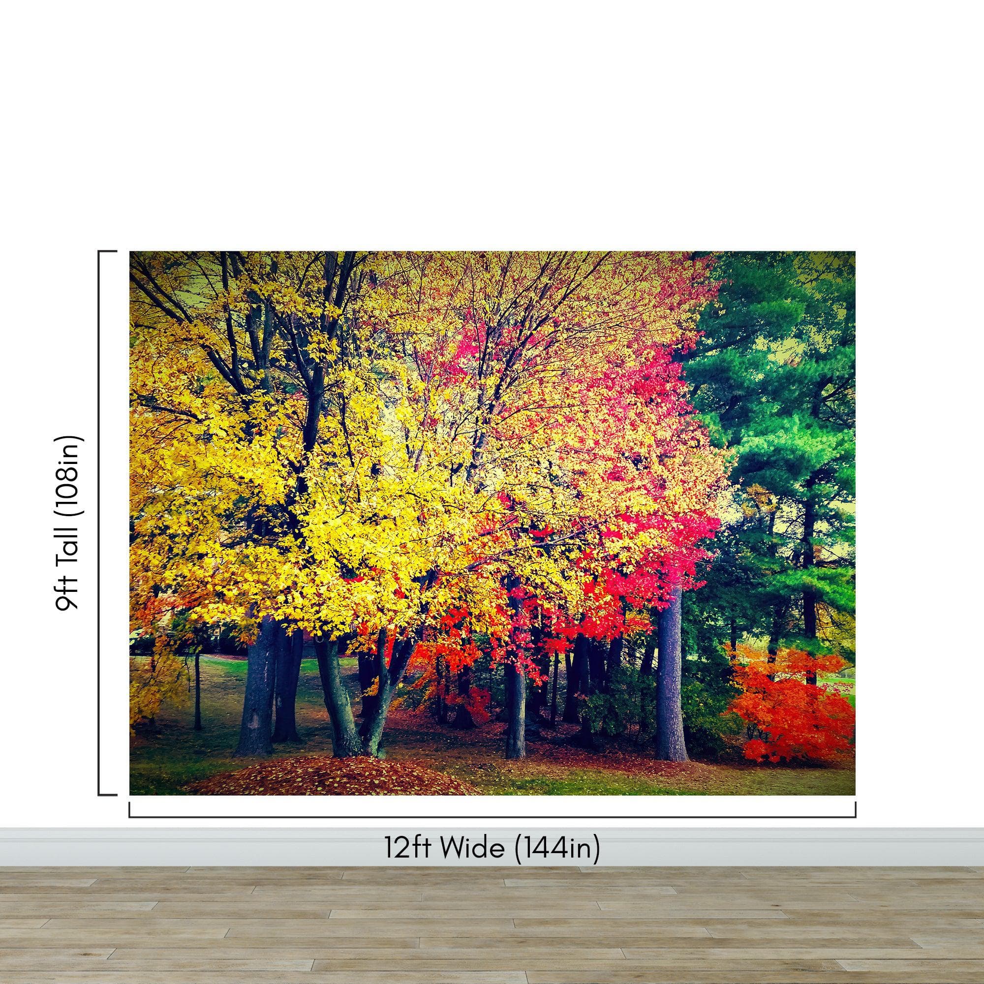 Colorful Autumn Trees Wallpaper Mural. #6981