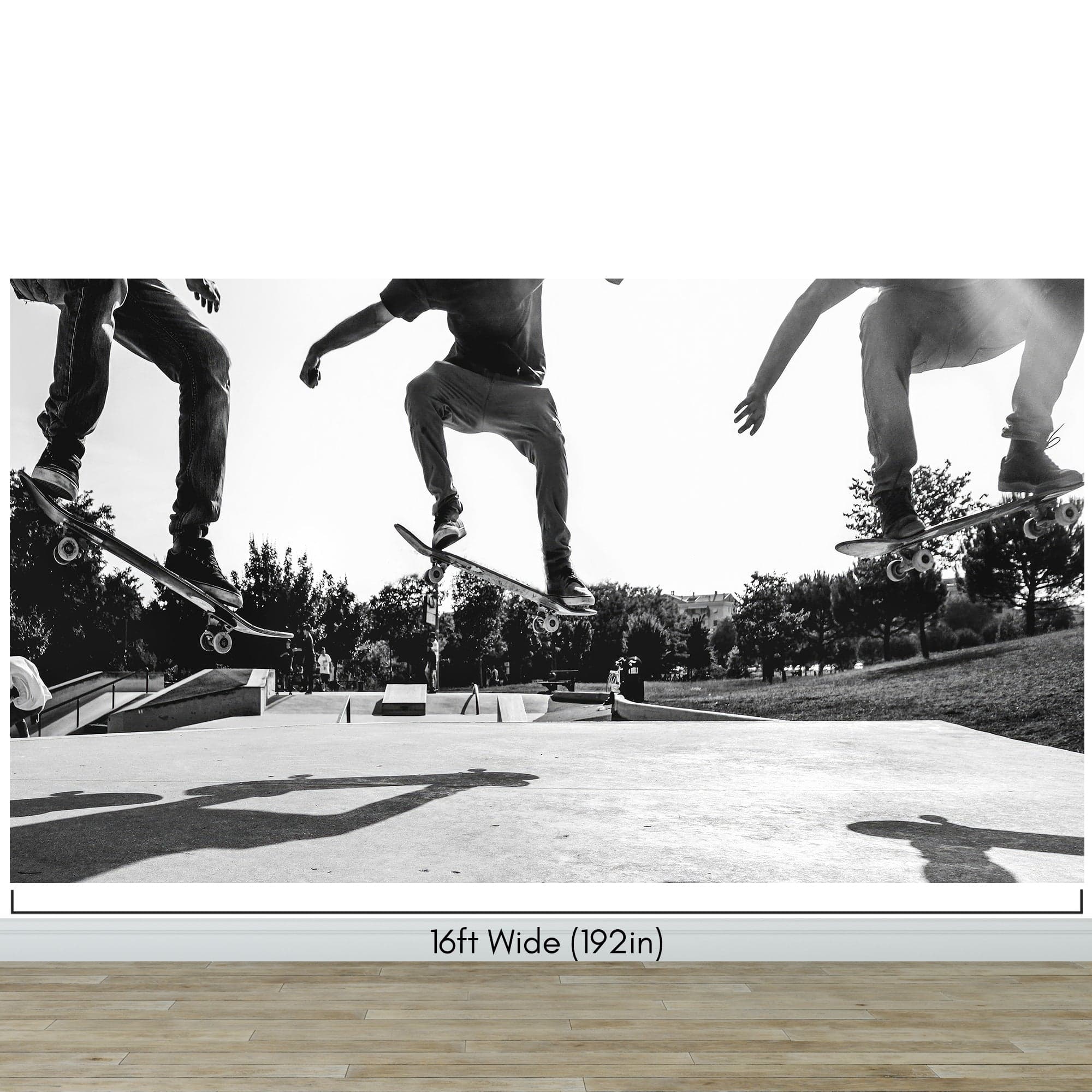 Skateboard Urban Park. Black and White Wall Mural. #7056