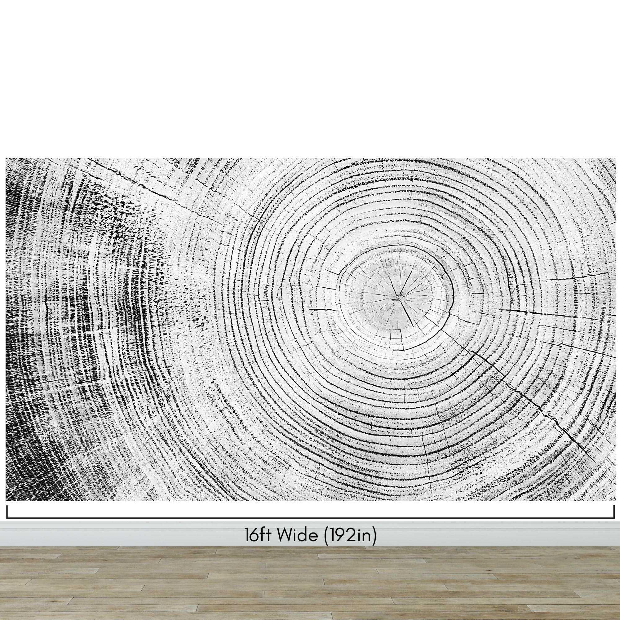 Tree Rings Wallpaper Mural. Black and White  Modern Wood Grain Circle Pattern. #7022