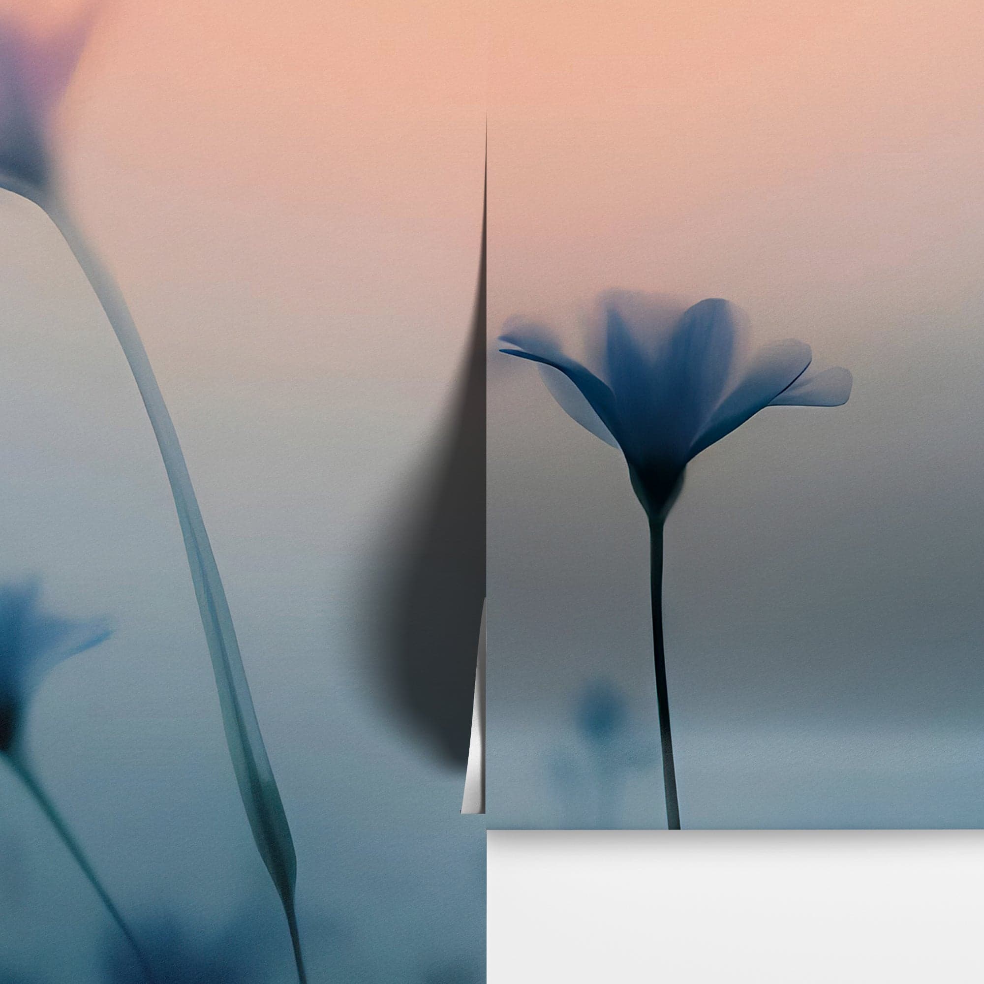 Morning Dew Misty Flower Wallpaper Mural. #7021