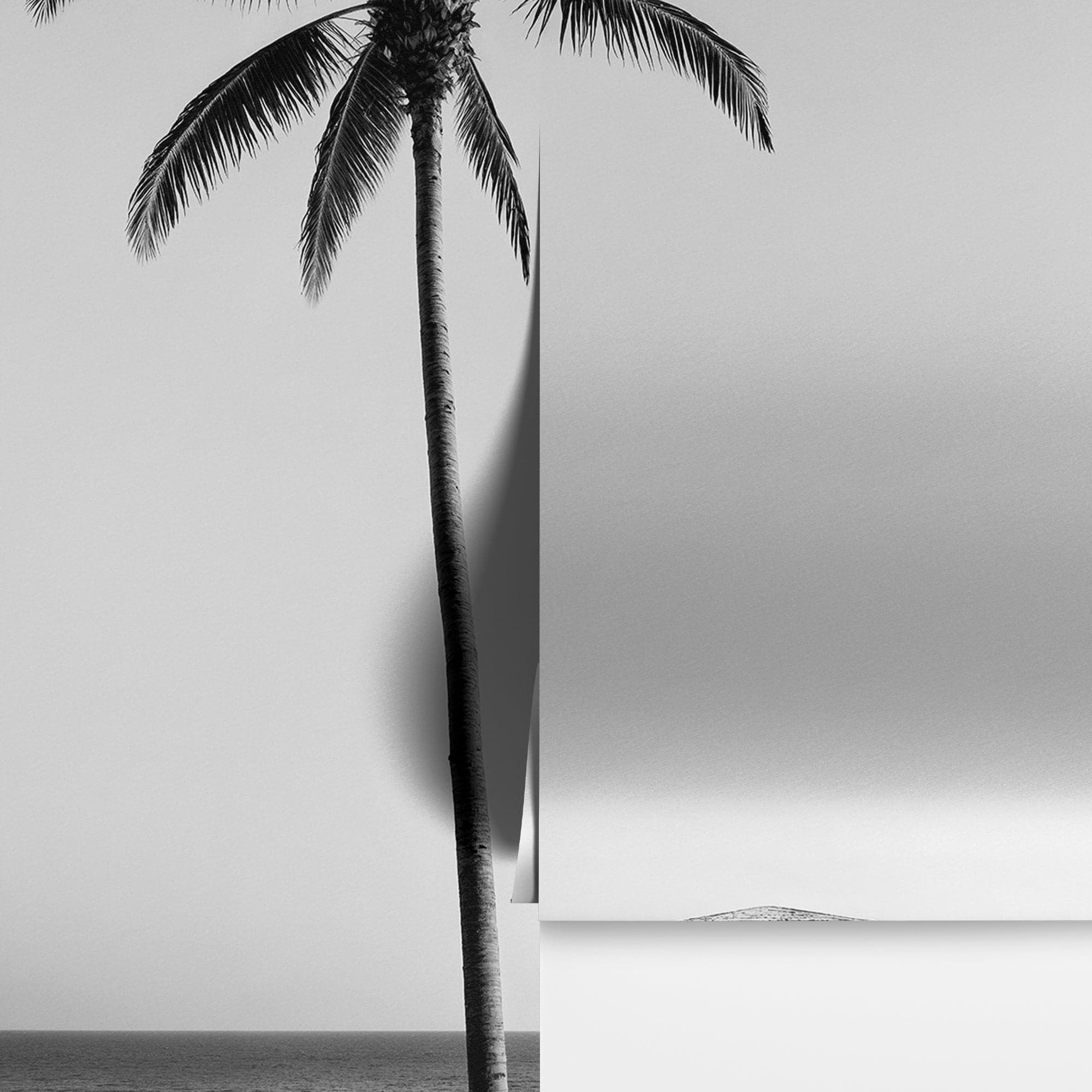 Black & White Tropical Palm Tree Beach Wallpaper Mural. #7015