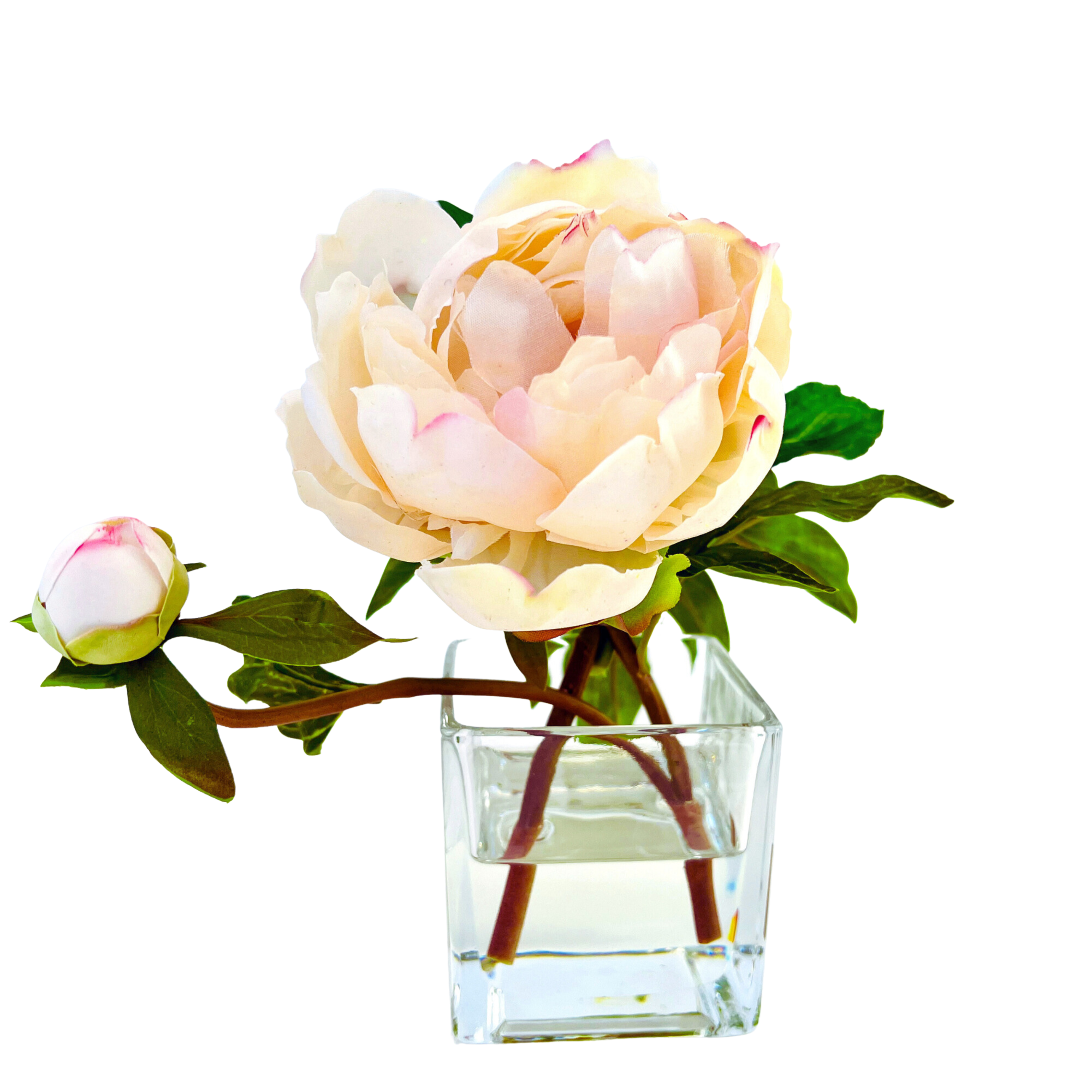 Peony Flower Arrangement in Glass Vase - 10"-0